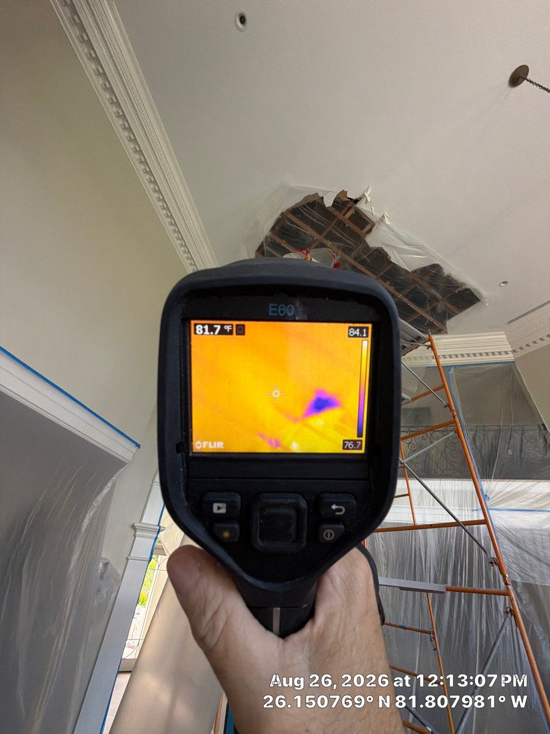 Moisture Detection and Structural Water Damage Restoration in Naples by Microscope