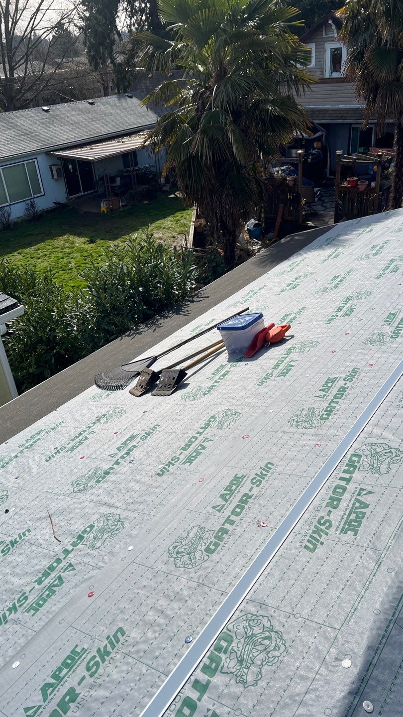 Sierra Gray Shingles by Reimagine Roofing
