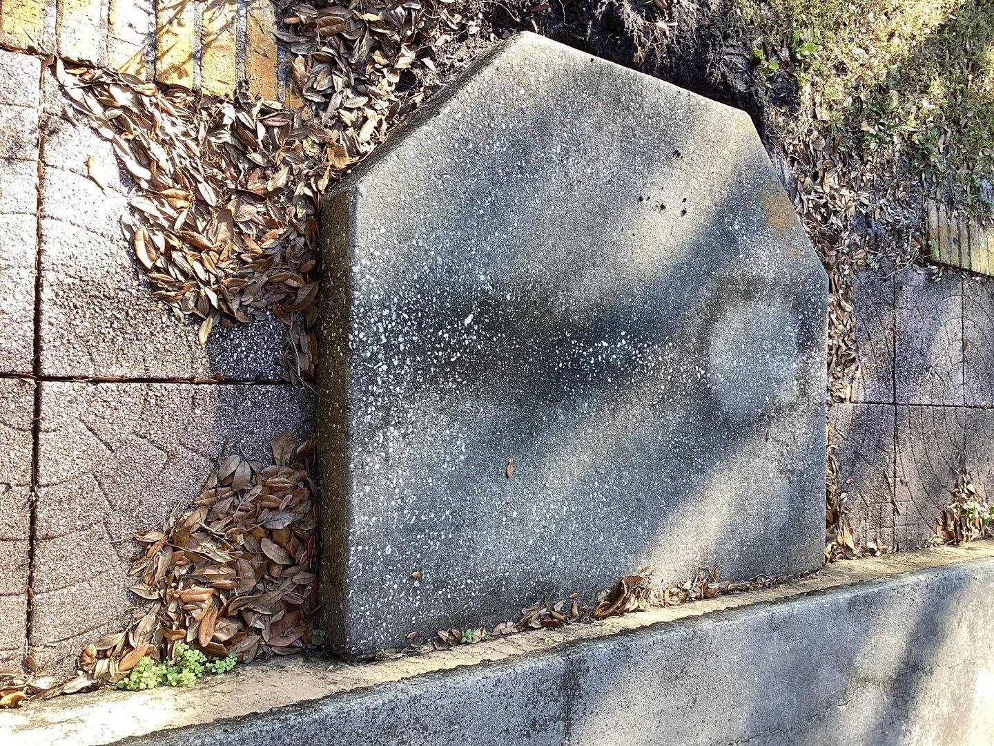 Patio using Pebble Beach by Amvet concrete coatings llc