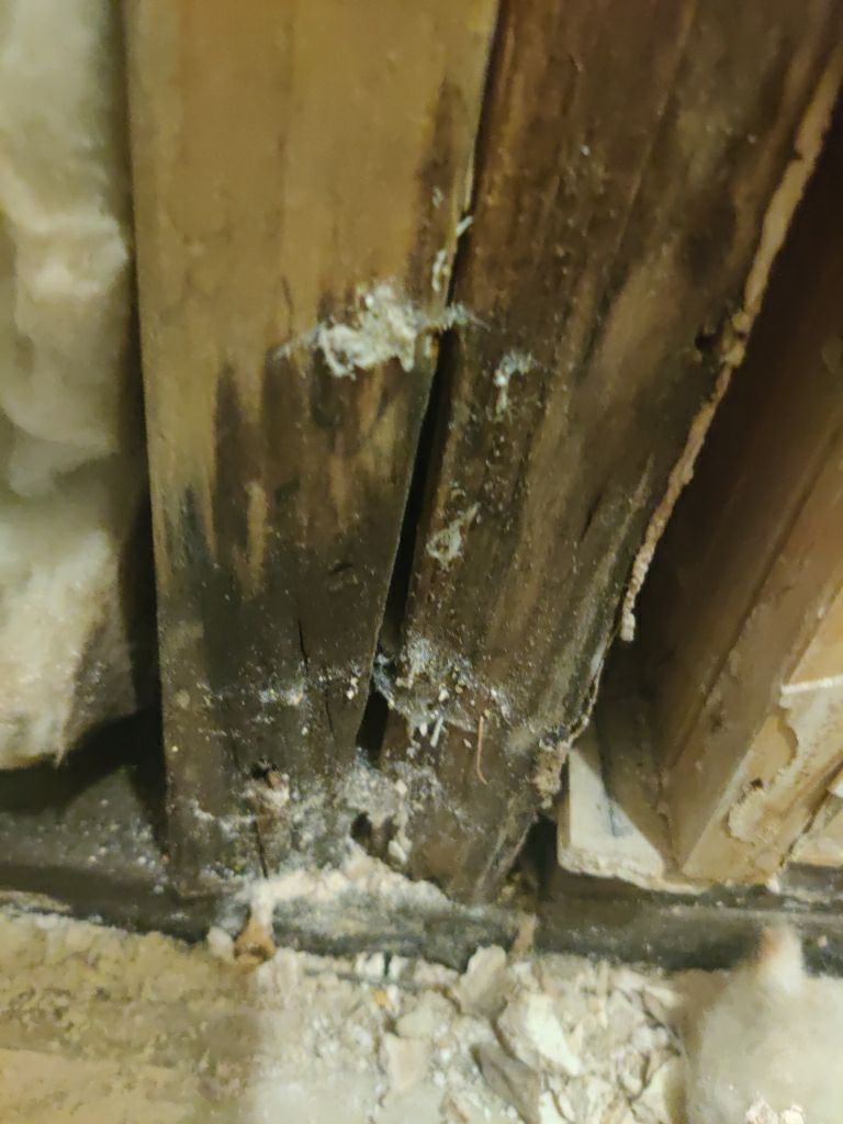 Water Damage Repair by Accountable Home Services