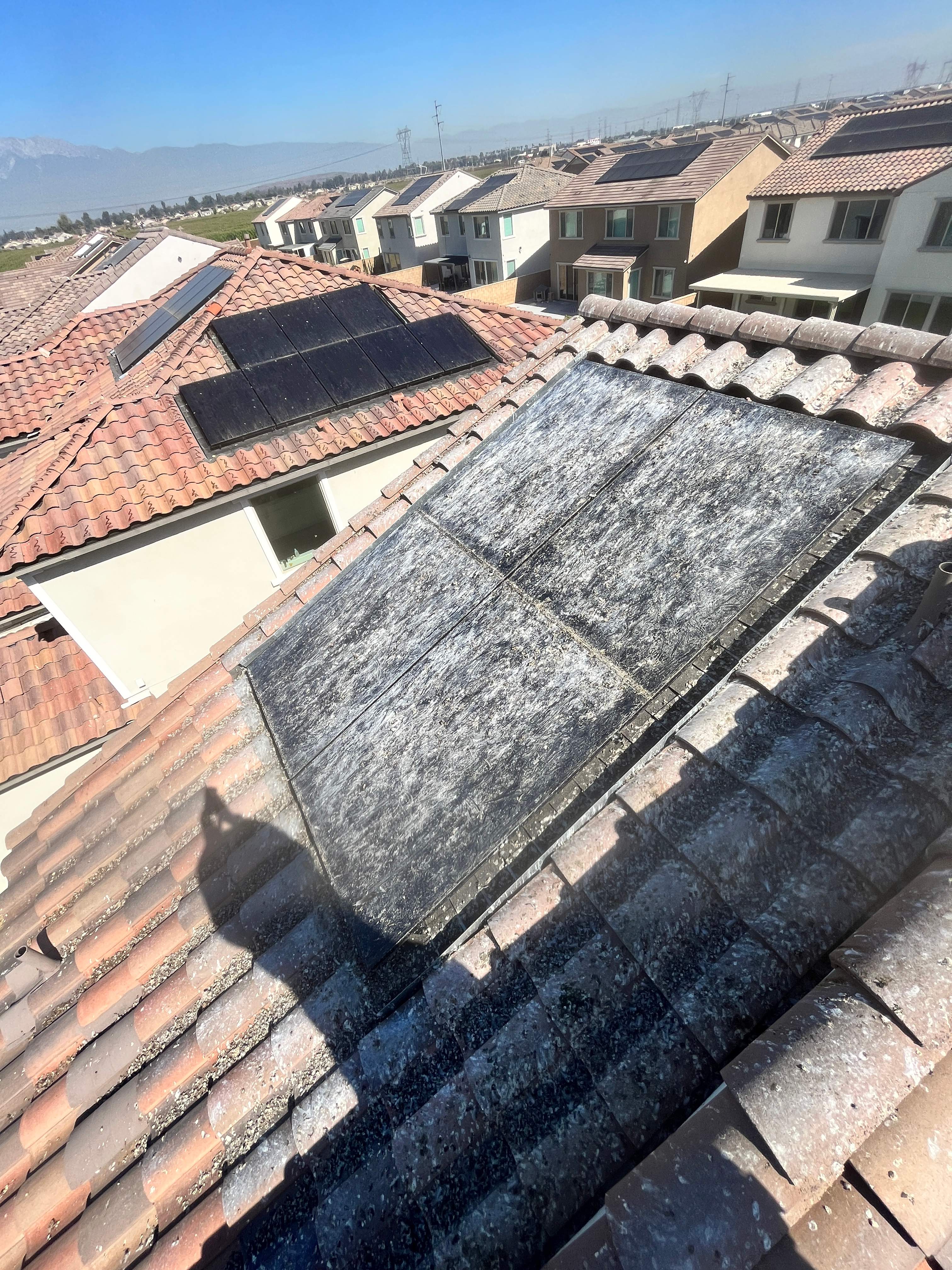Bird Proofing Solar Panels in Ontario Ca by Palm Coast Solar Cleaning