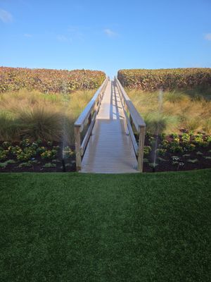 Hutchinson Island Oceanfront Landscape Restoration