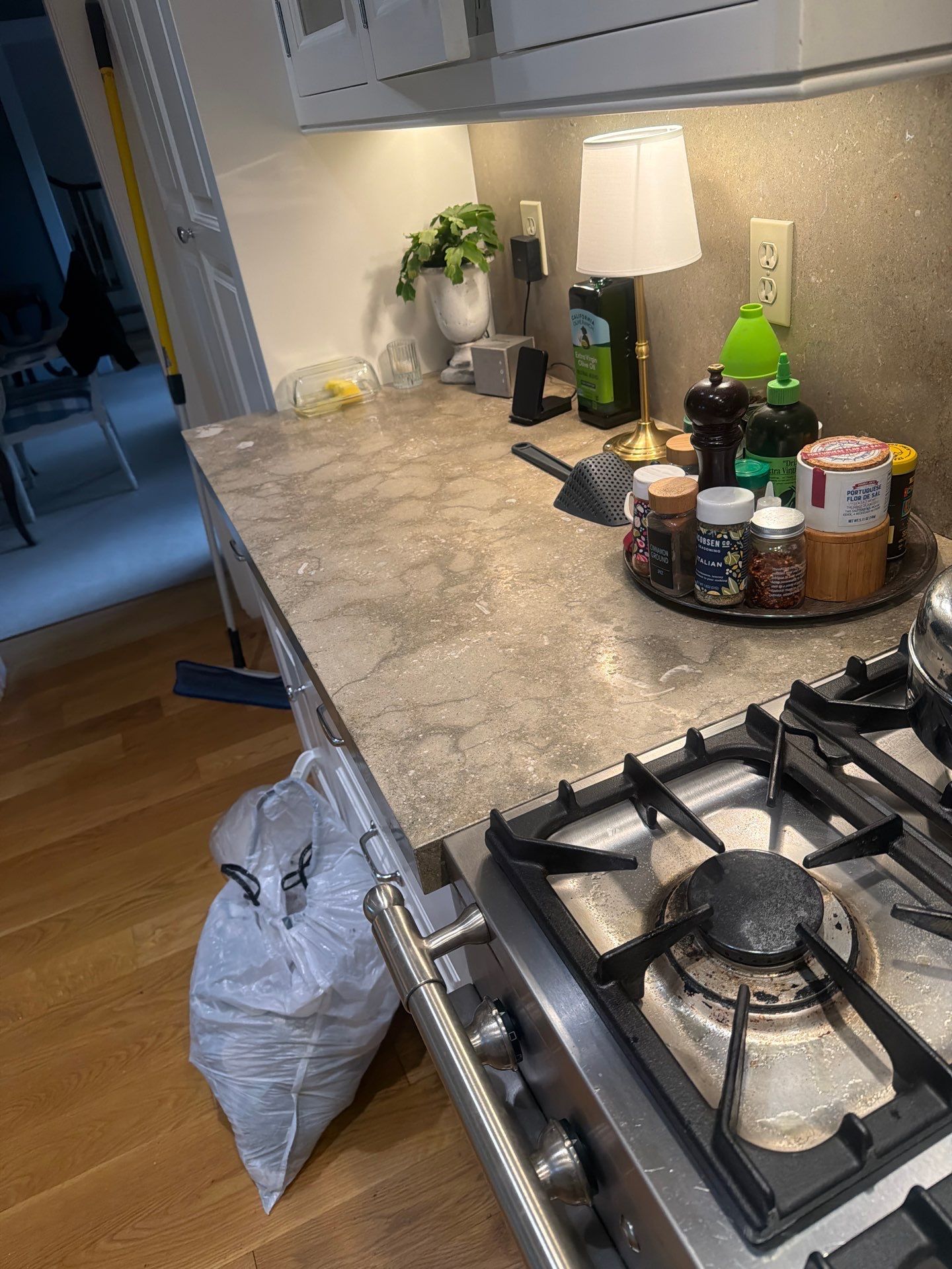 House Cleaning and Maid Service in Dunthorpe Portland by Cloud 9 Professional Cleaning Services