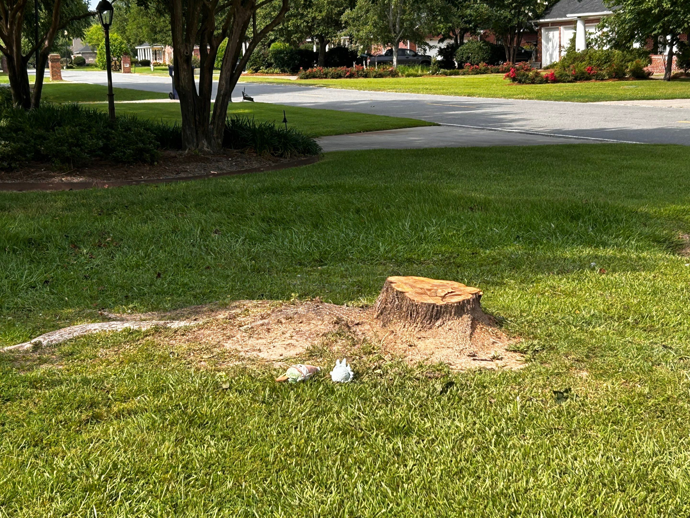 Removal of Fallen Tree by College Bros Outdoor services