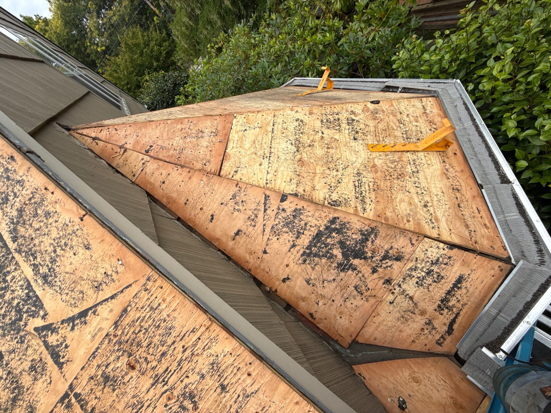 Project in Portland by Tom Leach Roofing