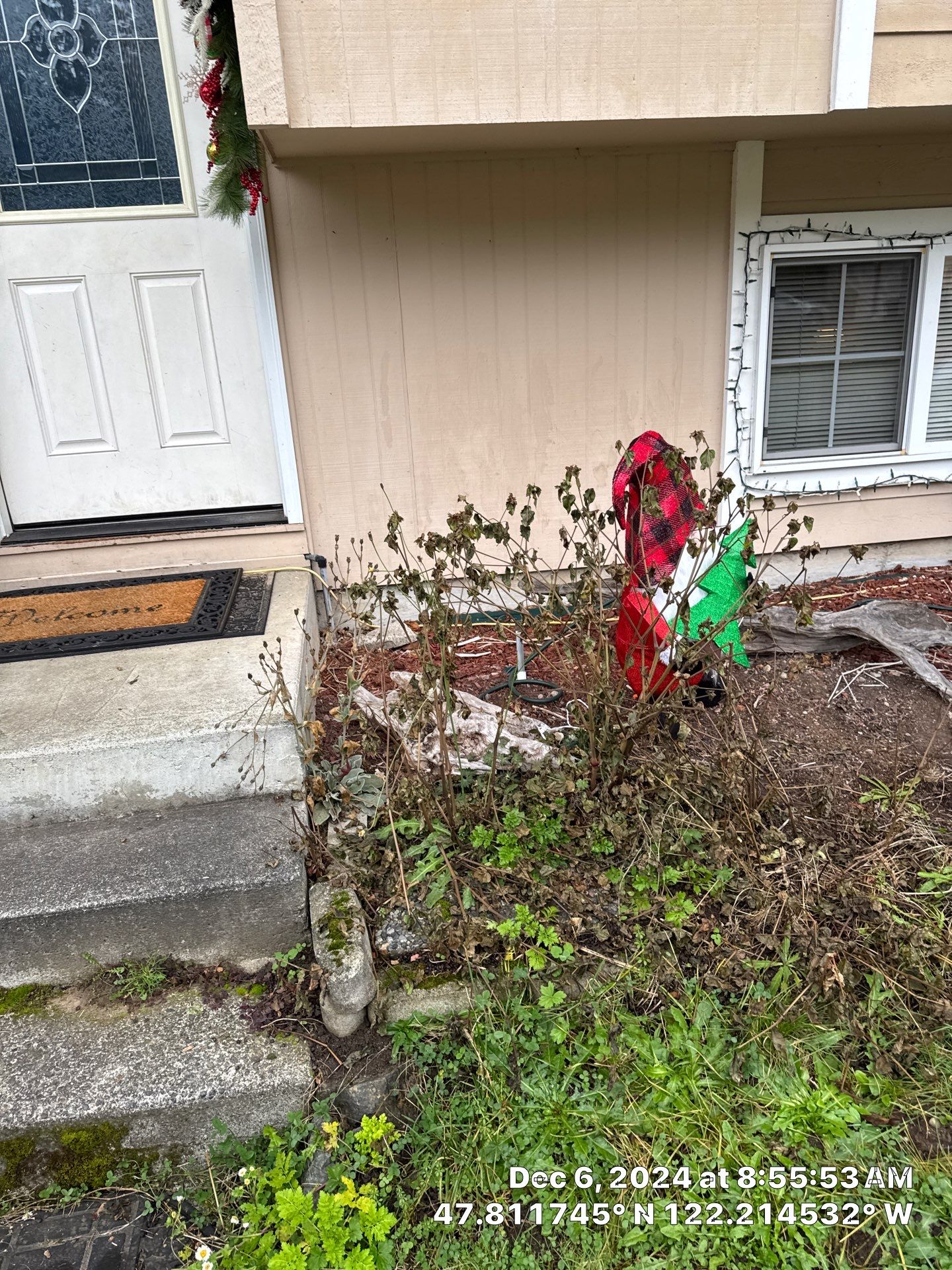 Concrete Front Stair Repair | Bothell  by Jireh Asphalt & Concrete Inc 