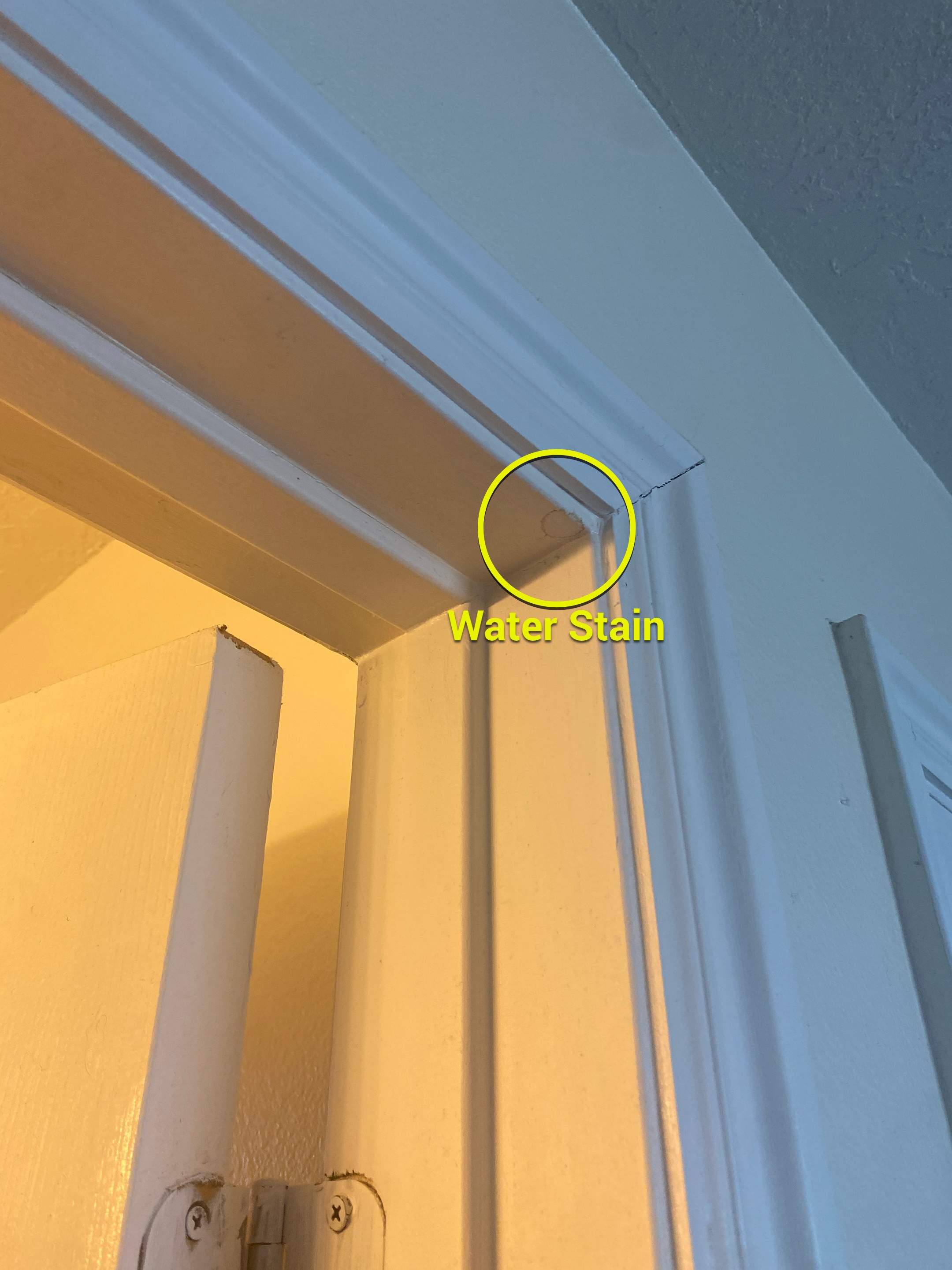 Interior Inspection by ASAP Roofing & Restoration