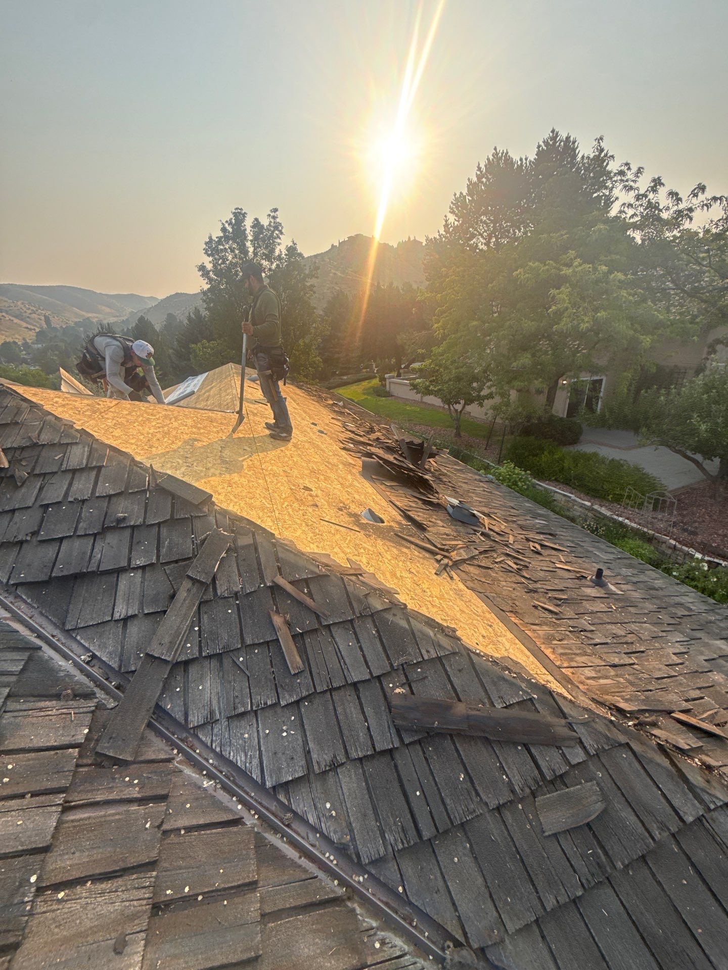 Cedar Shake to IKO Dynasty Shingle Roof Replacement in Boise by Olive Roofing