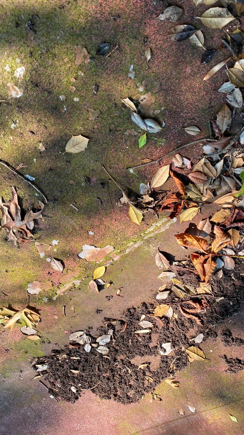 Alexandra: Residential Metal Roofing  by RM Banning, Inc.