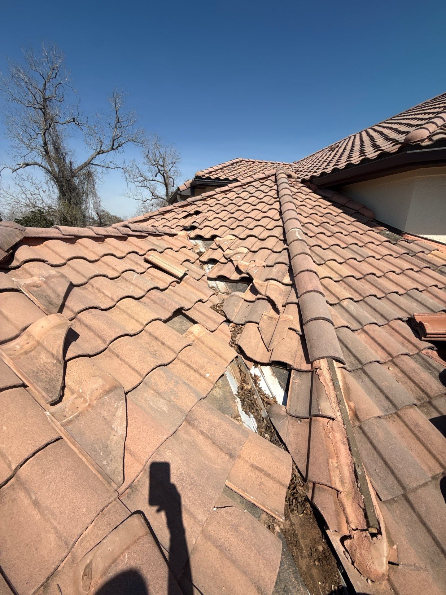 Roof Replacement in Sienna Village of Bees Creek, Missouri City TX by Roof Repair Company