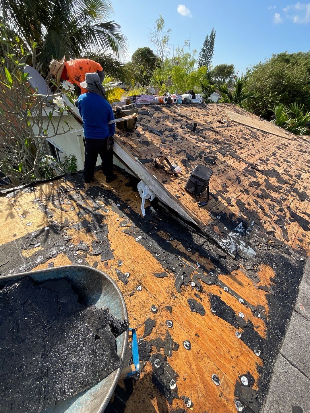 Beautiful Blue Shingle Re-Roof in Hollywood! by First Due Roofing