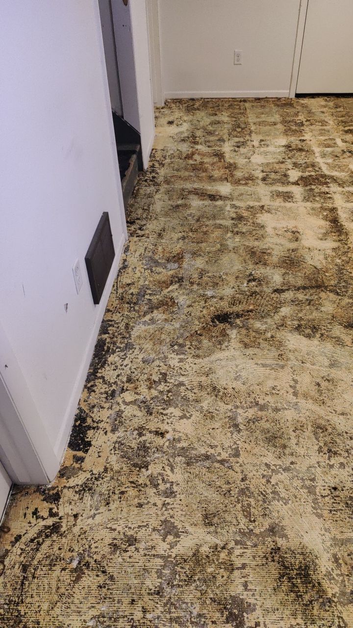 Water Damage by Accountable Home Services