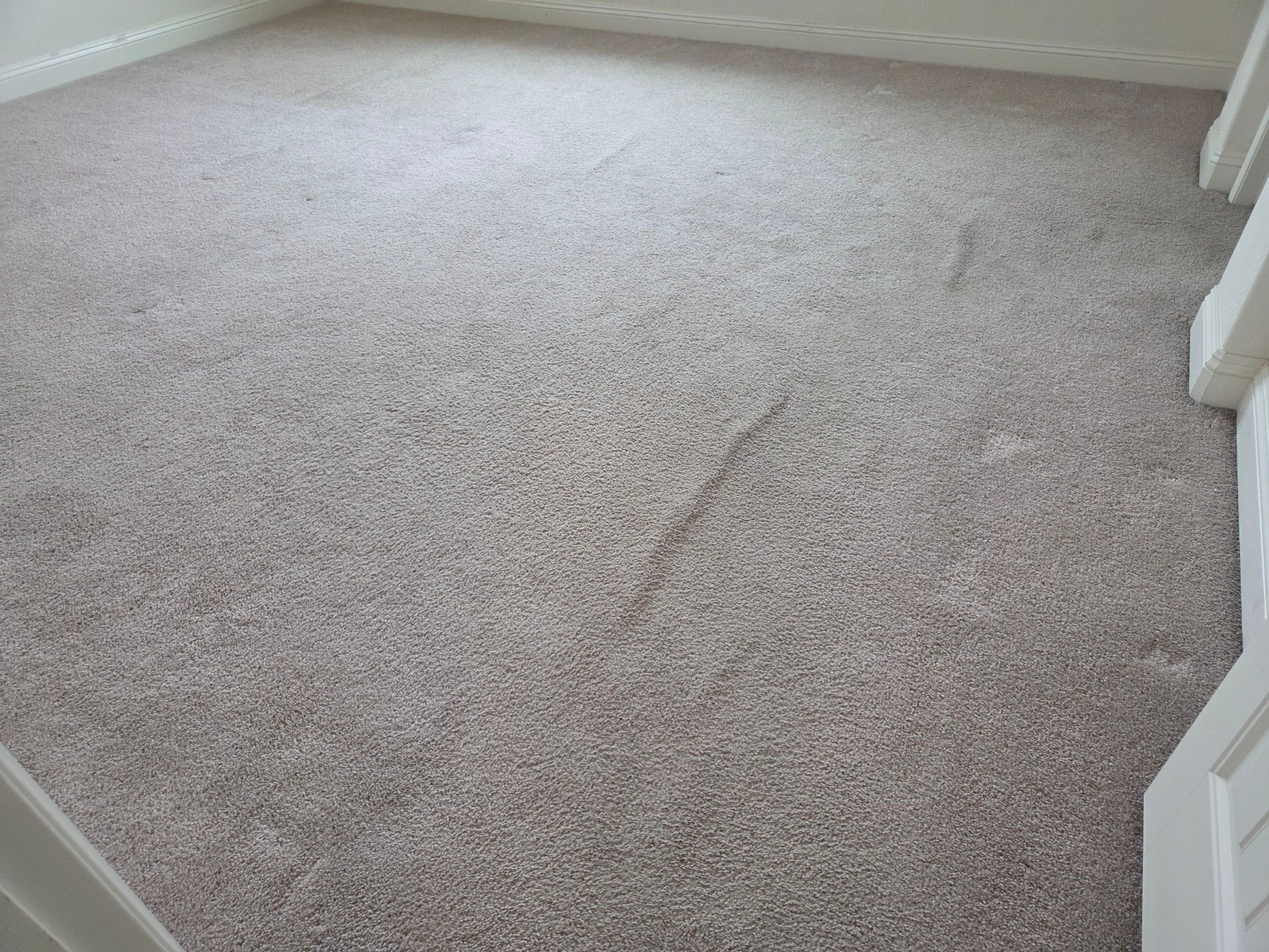 Carpet Re-stretch and Cleaning in EDH by Ardent Carpet Restore LLC