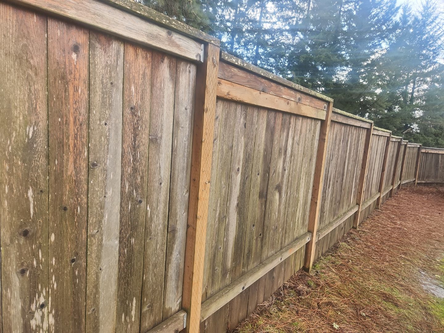 Hillsboro Fence Repair by Paul Schopp