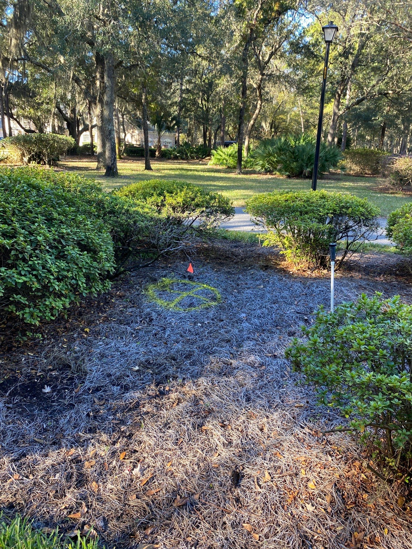 Deerwood Community | Oak Tree Replacement Project by ProGreen Services