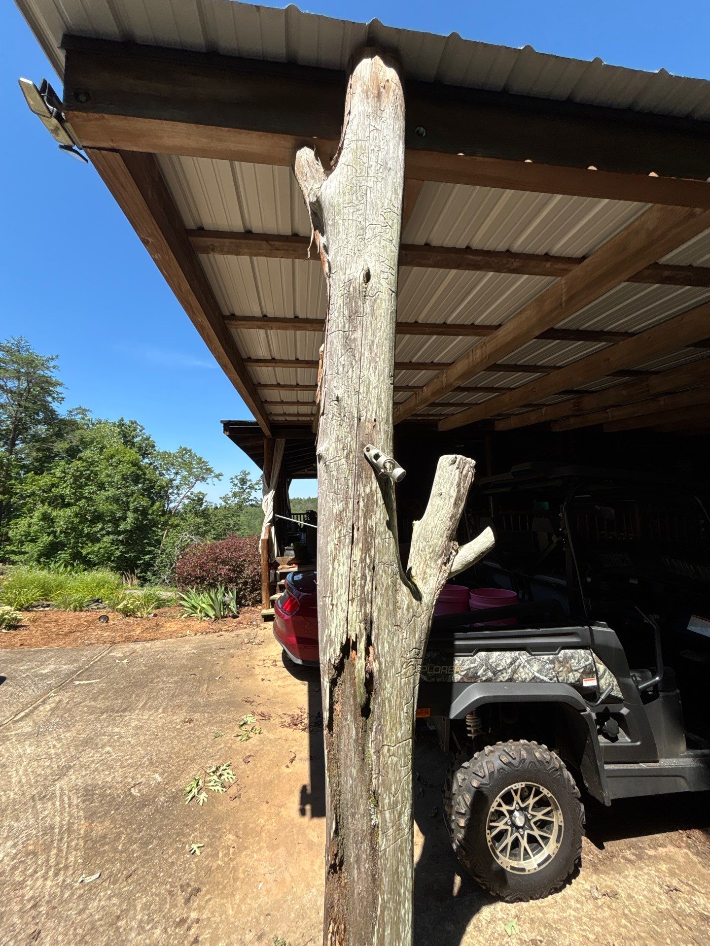 Log Cabin Termite Monitoring System and Structural Inspection in Shelby by Alabama Professional Services