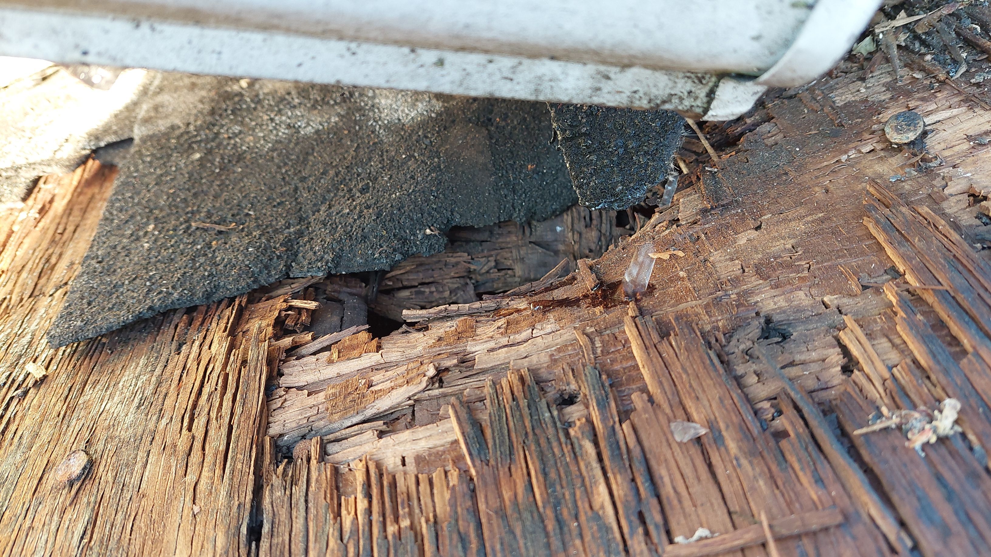 Liberty Township - Pristine Black by Tamlin Roofing