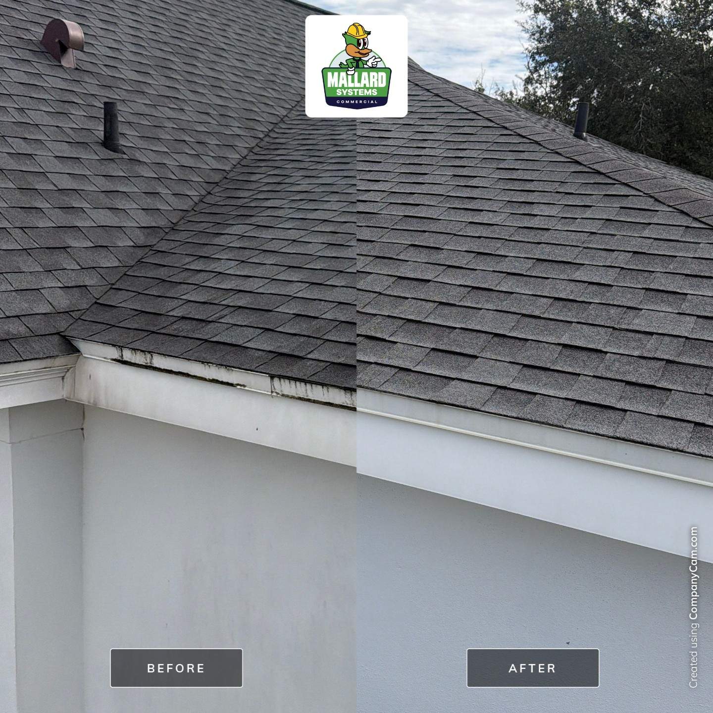 Shingle Roof Cleaning in Celebration by Mallard Systems