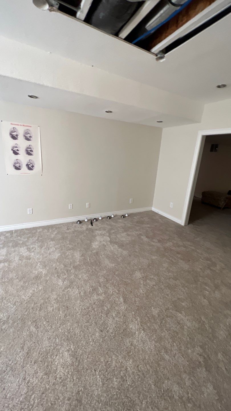 Mold Remediation by Accountable Home Services