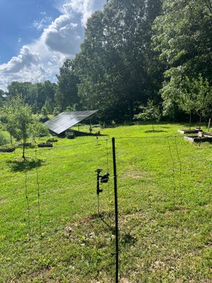 Project in Arlington