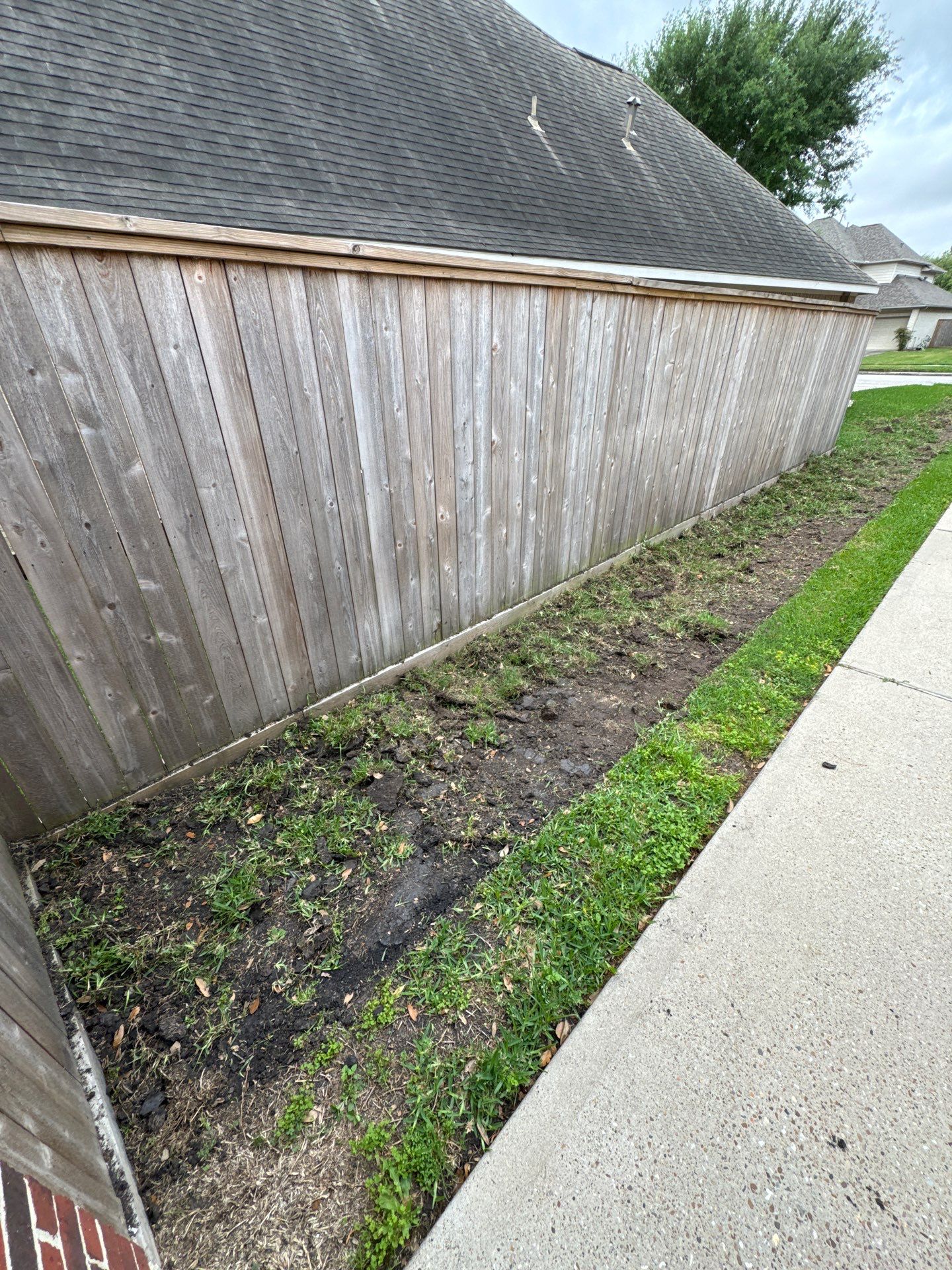 🌿 Mrs. Coleman’s Lawn & Drainage Restoration by Texas Urban Elements