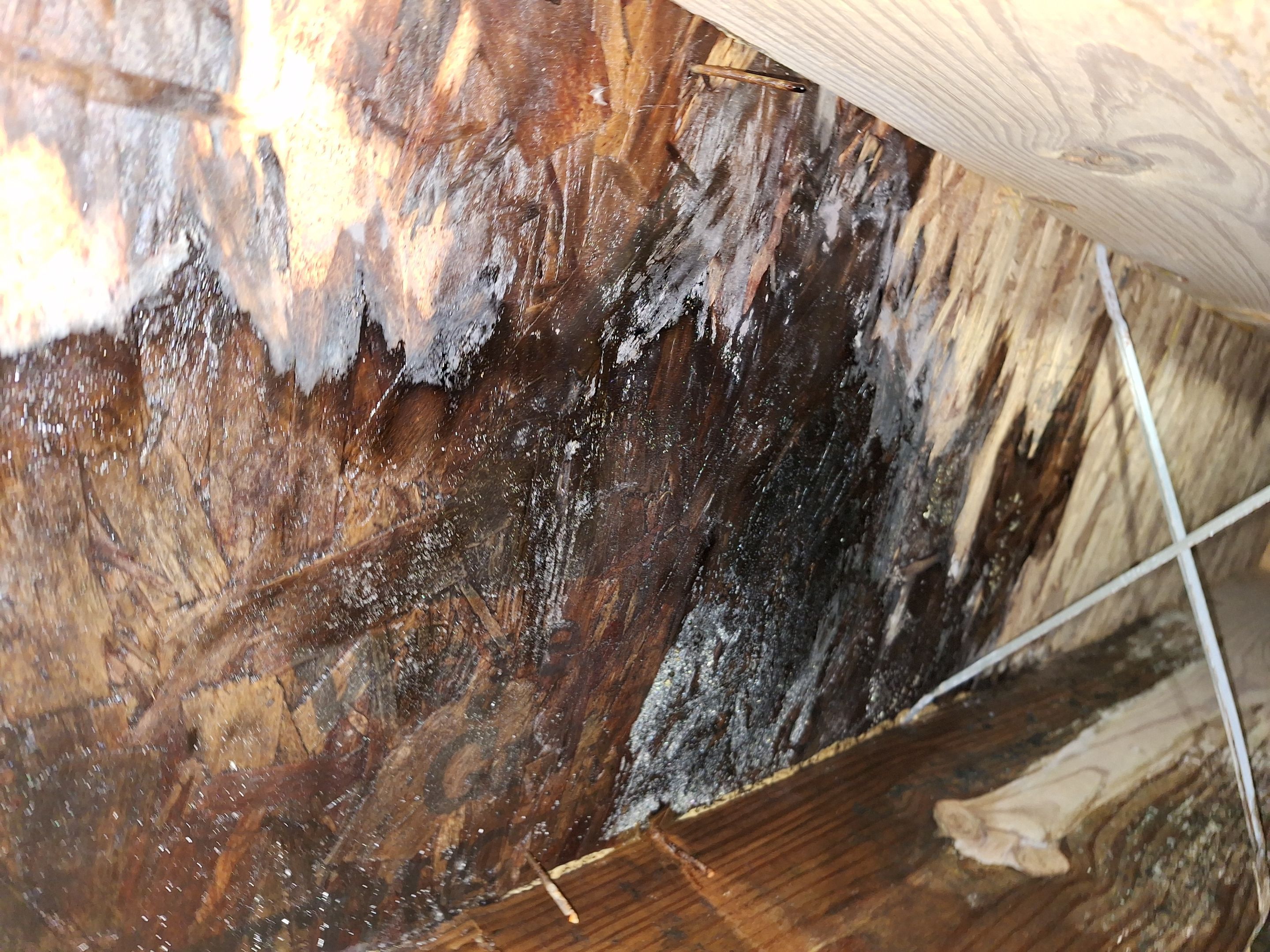 Crawlspace Water Mitigation in Louisville, KY by ANR Restoration