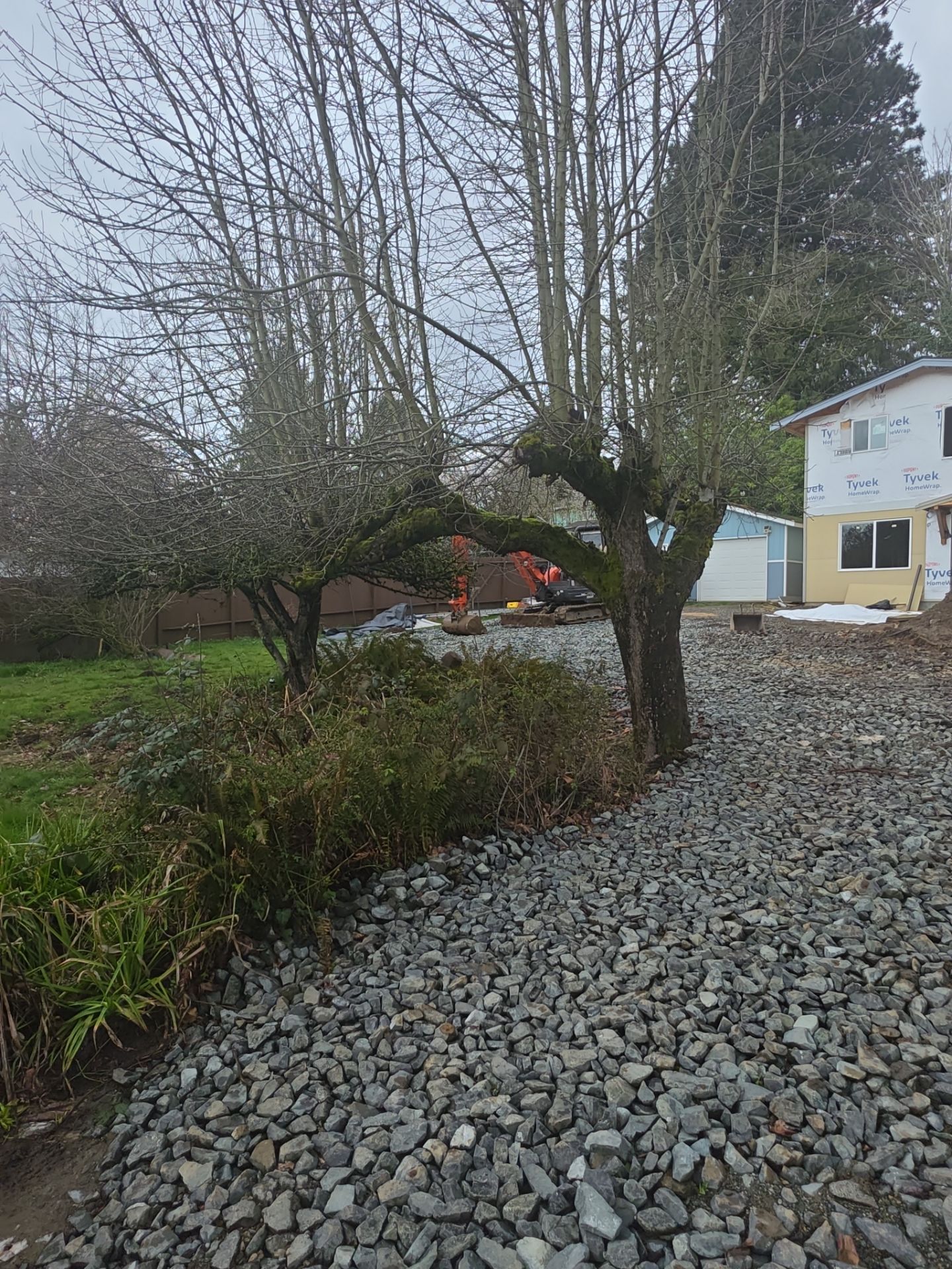 Residential Drainage System Installation in Renton by Sound Tree Care LLC