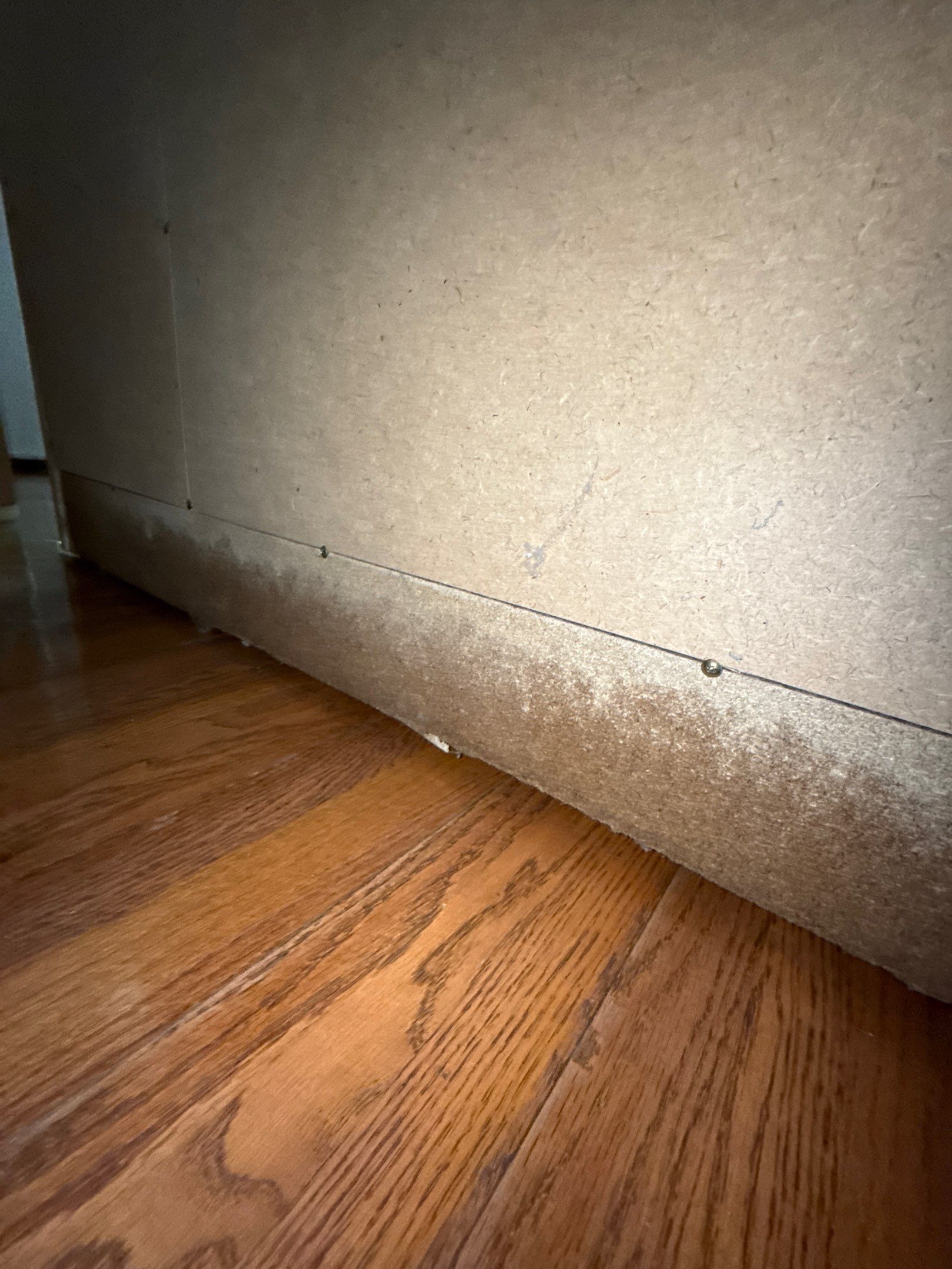 π¦ Busted Pipe Dry Out Project by American Quality Restoration