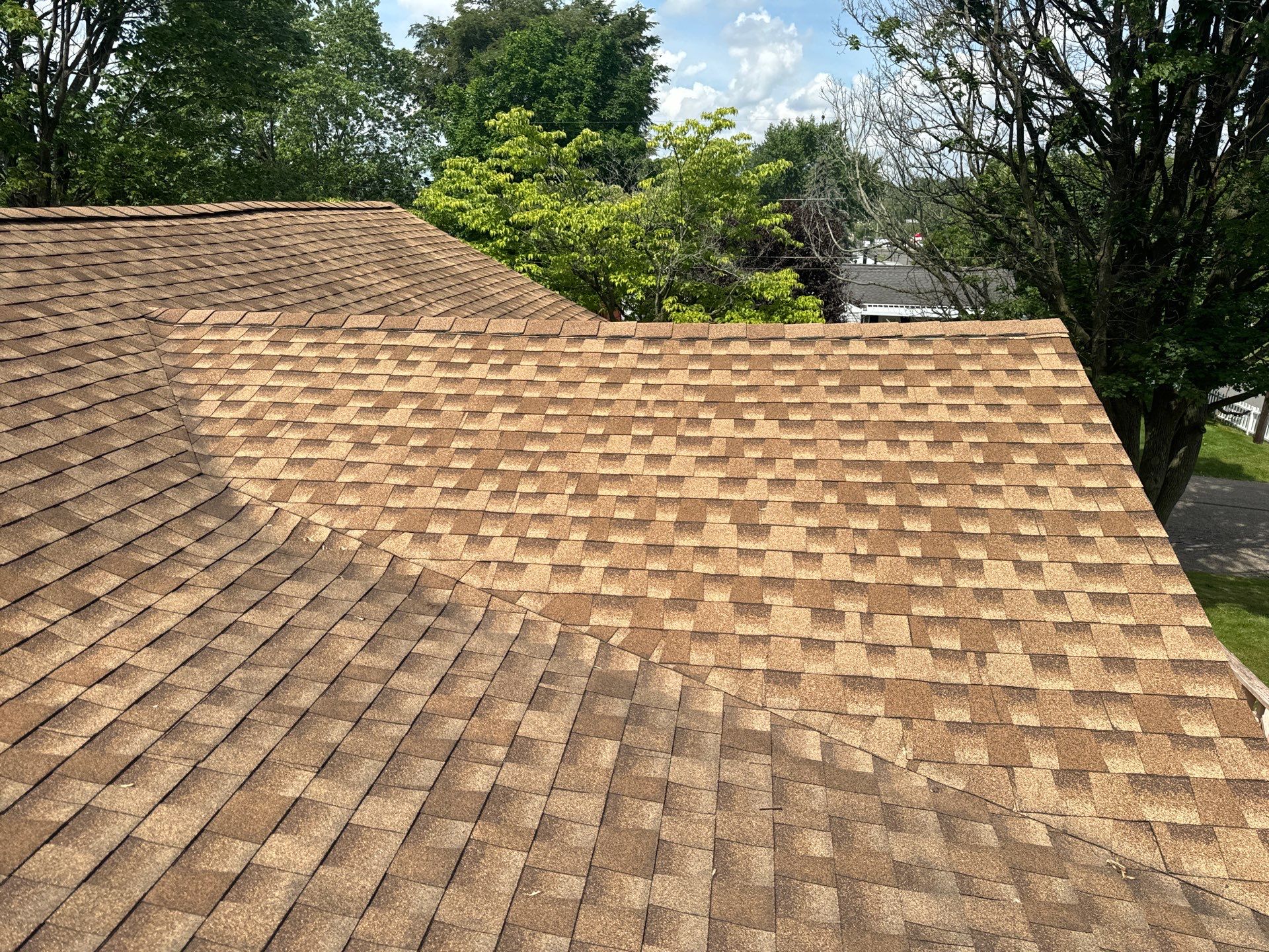 Angenita Daniels by Silver Leaf Contracting 