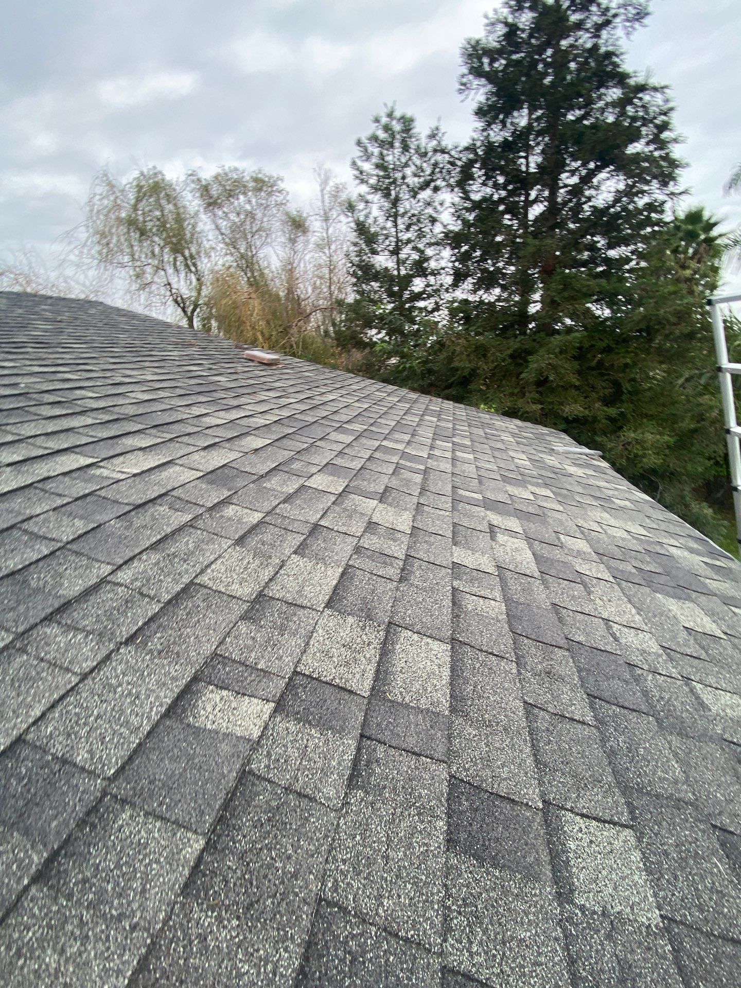 Roof Rejuvenation using Roof Maxx Treatment by Roof Maxx of Folsom