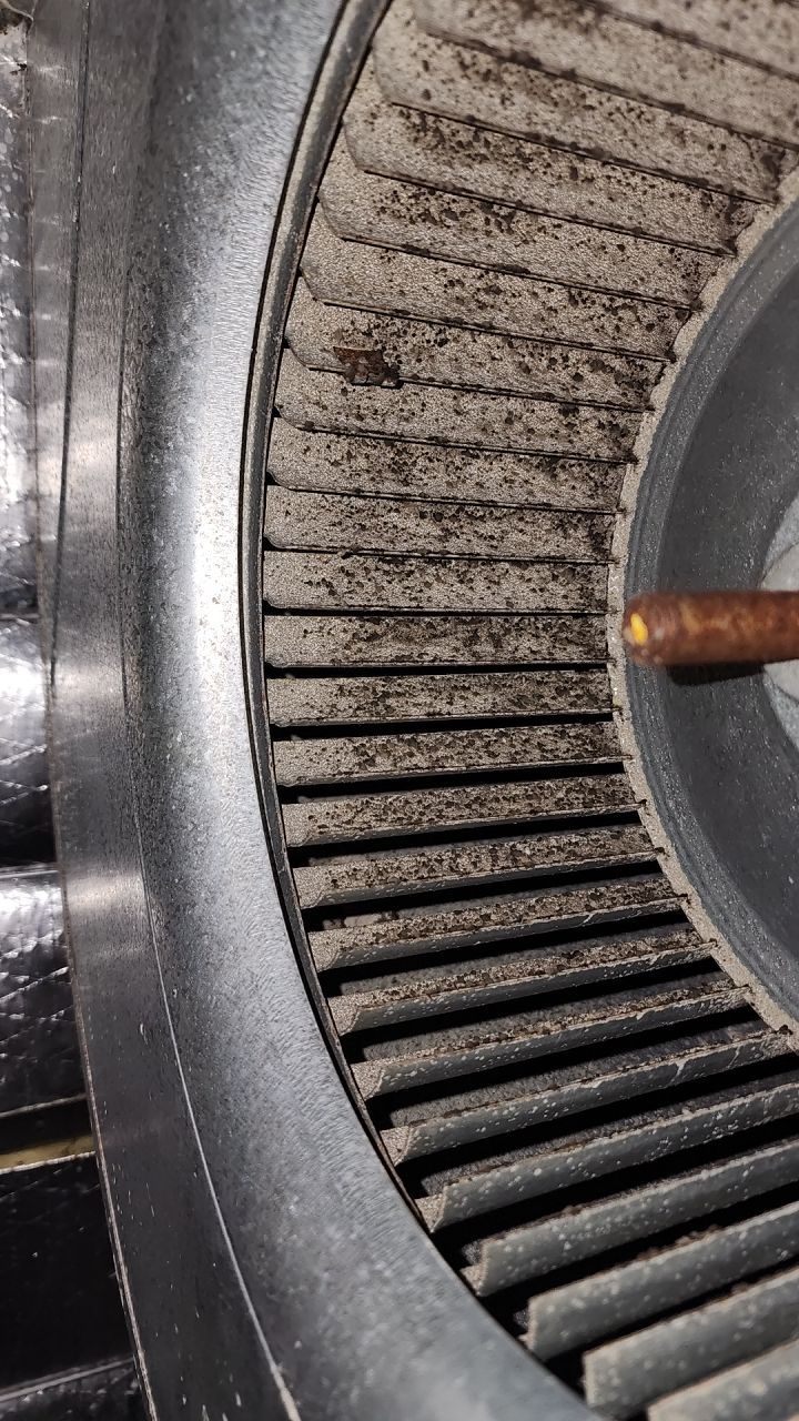 HVAC MOLD ASSESMENT by Building performance Solutions LLC