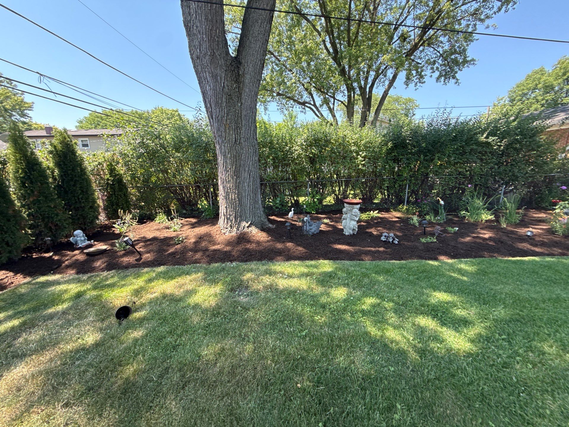 Gina K. - Mount Prospect, IL by A&N 