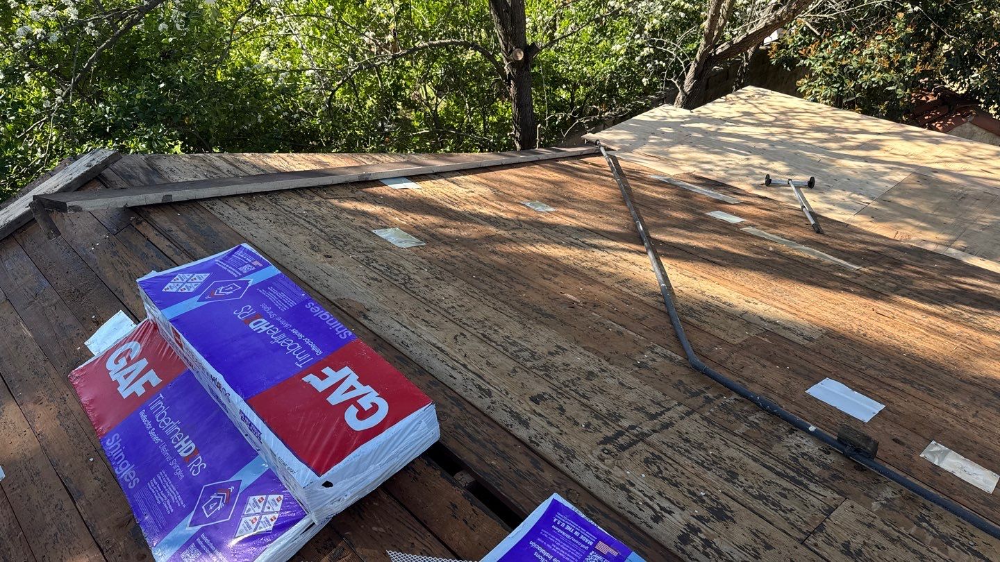 Willa Holmstock by NuLead Construction Inc