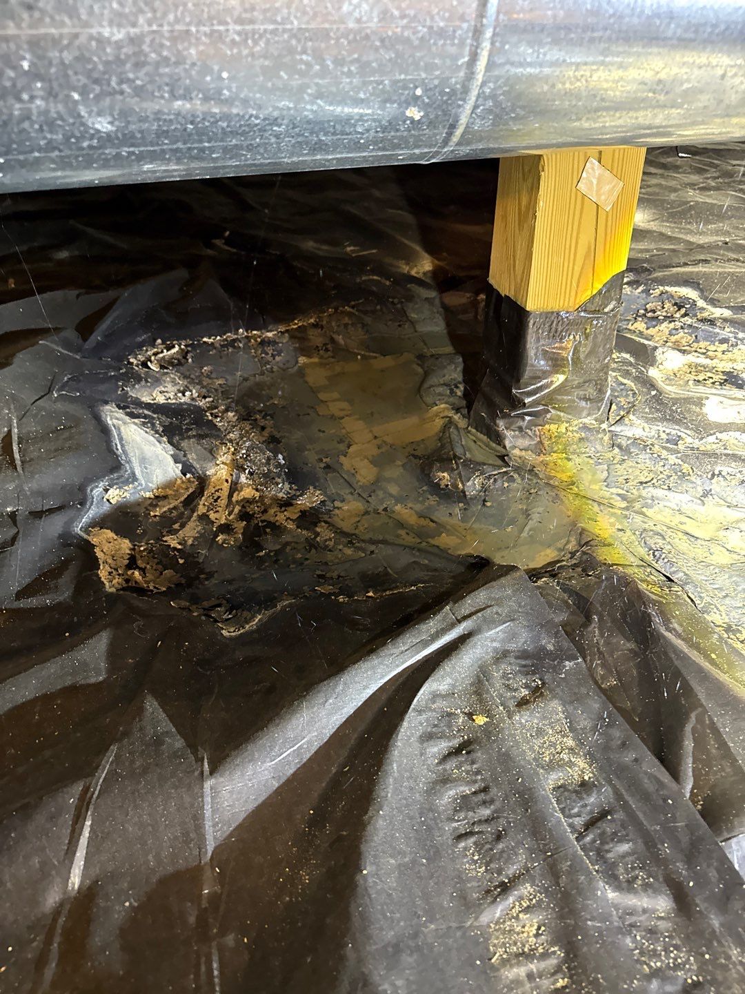 Bathroom and Crawlspace Water Damage and Mold by Healthy Home Solutions