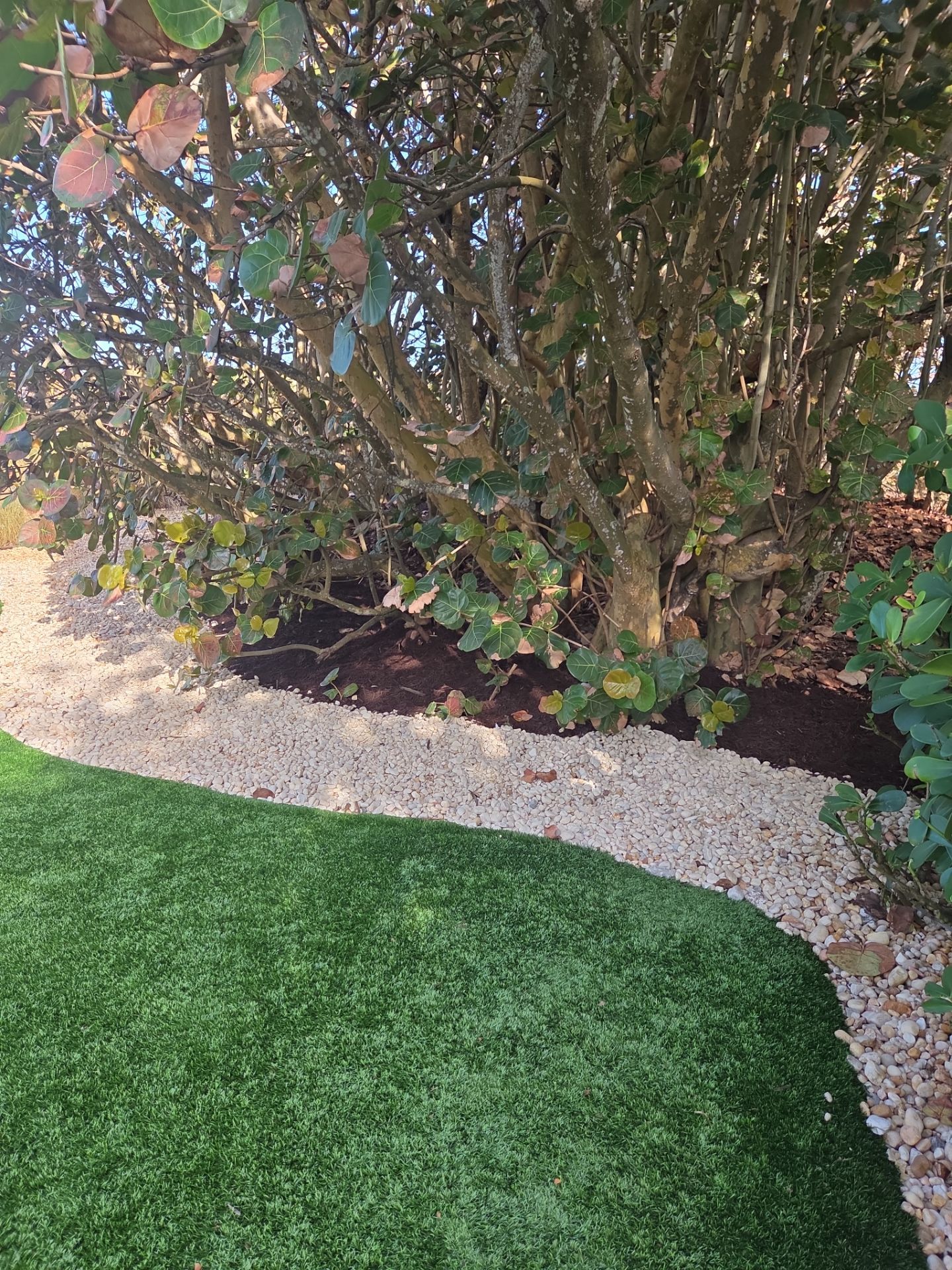 Hutchinson Island Oceanfront Landscape Restoration by Alpha Zeta Enterprises Inc