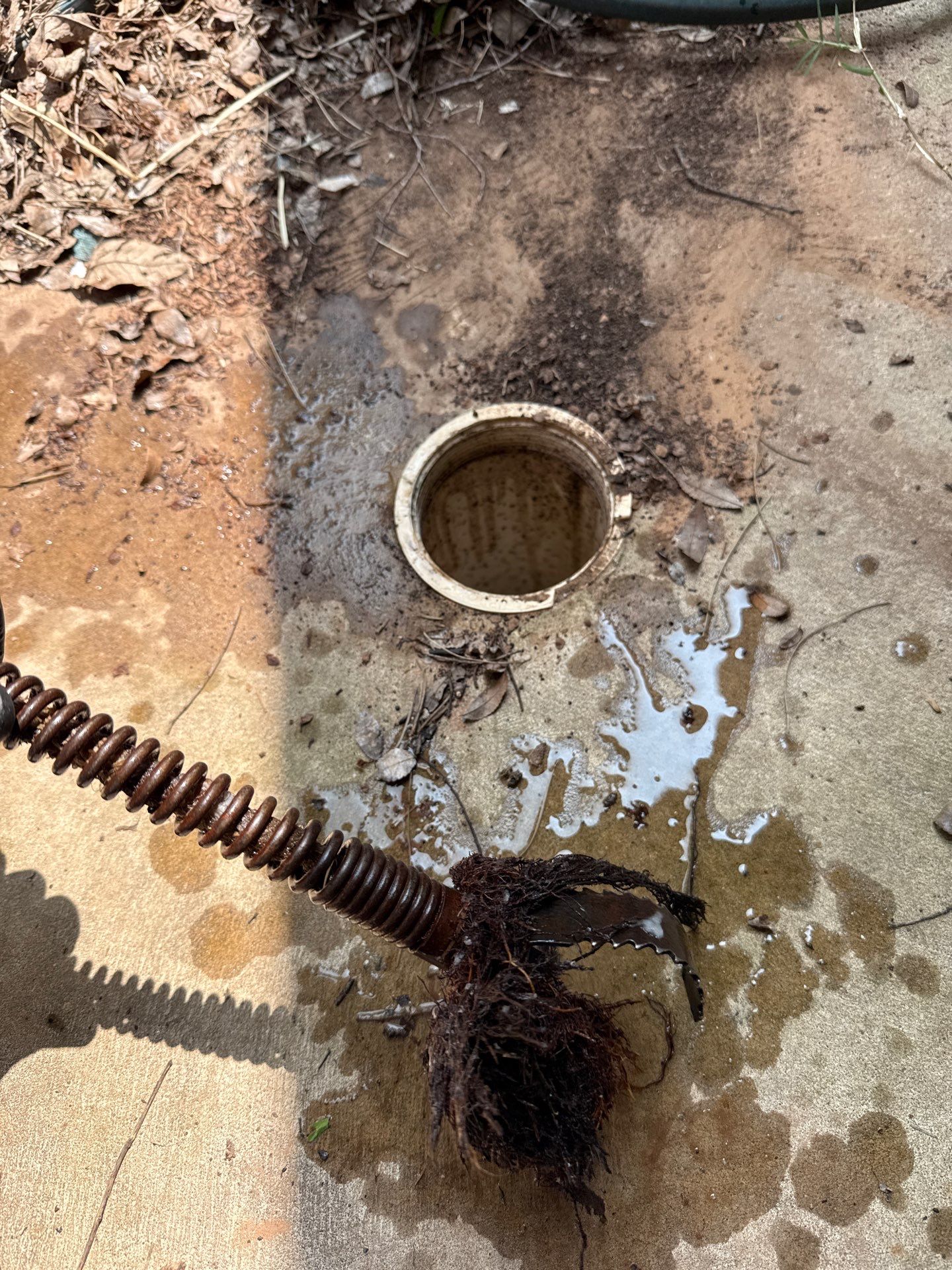 Project in Edmond by PRO-ROOTER