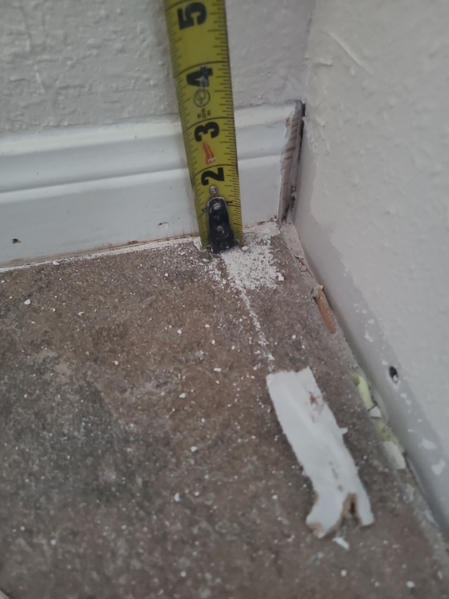 The Gillespie Family by SophAlx LLC