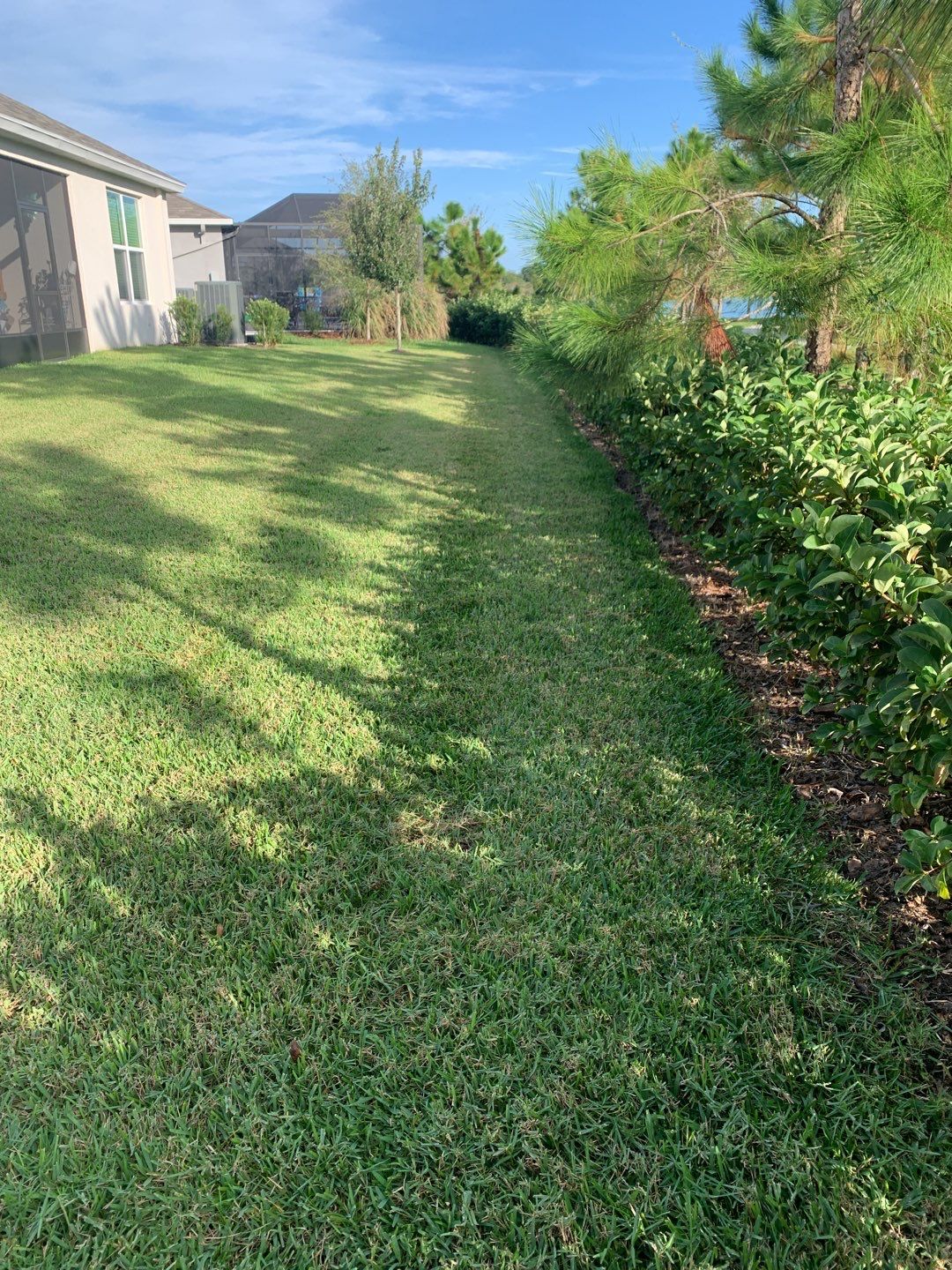 Palmetto, FL 5 ft. Tall Bronze Aluminum Fence by Asap fence and gates, LLC