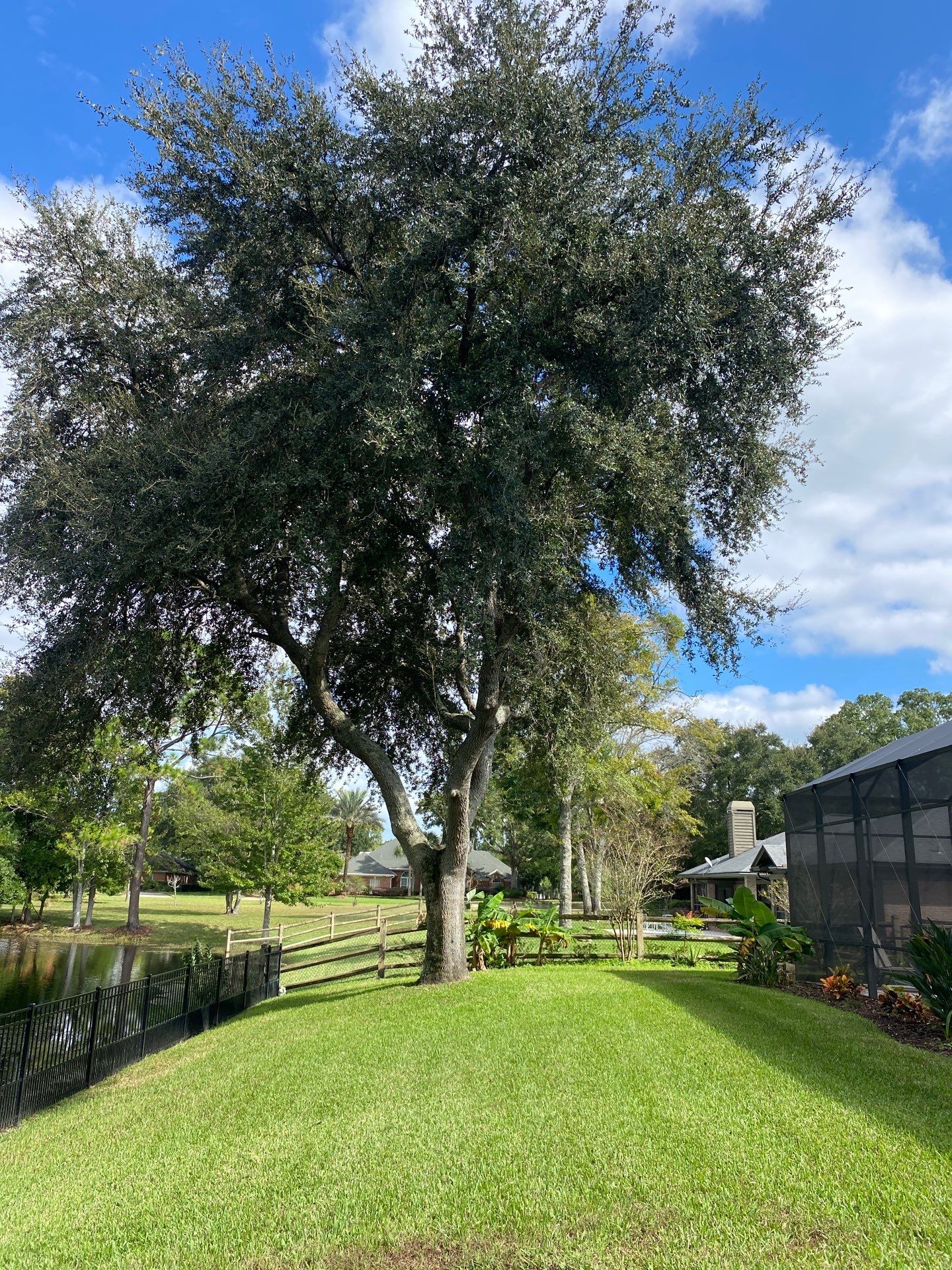 Deerwood | Tree Trimming & Sod Install | Residential by ProGreen Services