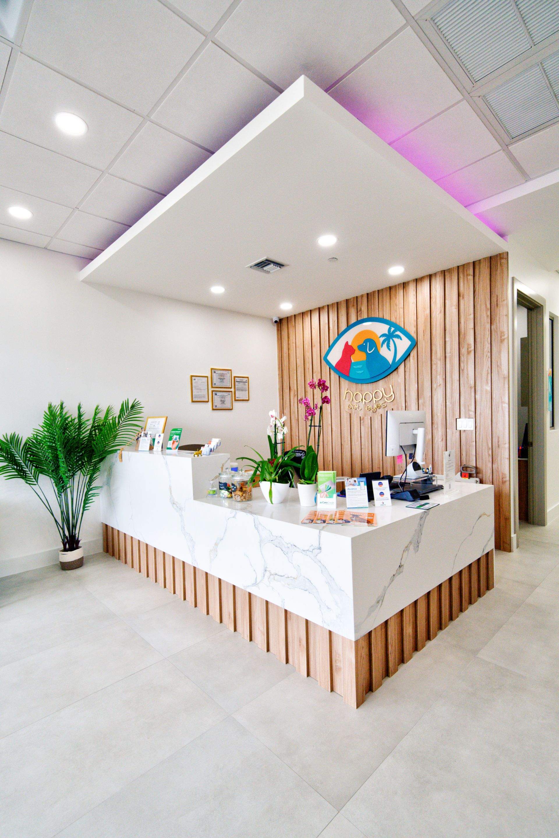 Happy Pet Eyes by Ruiz Construction Inc