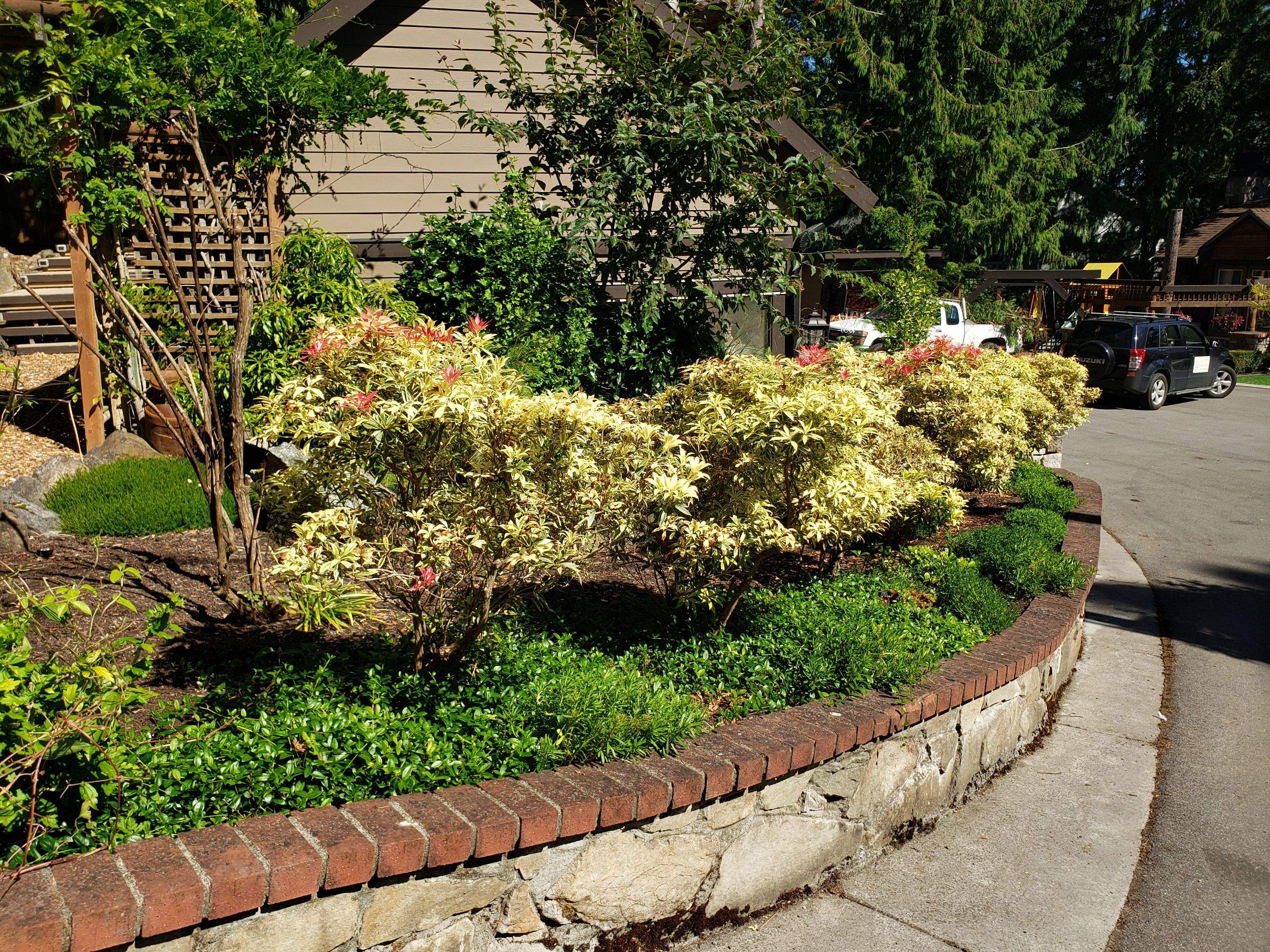 North Saanich Residence by Habanero Garden and Exterior Care