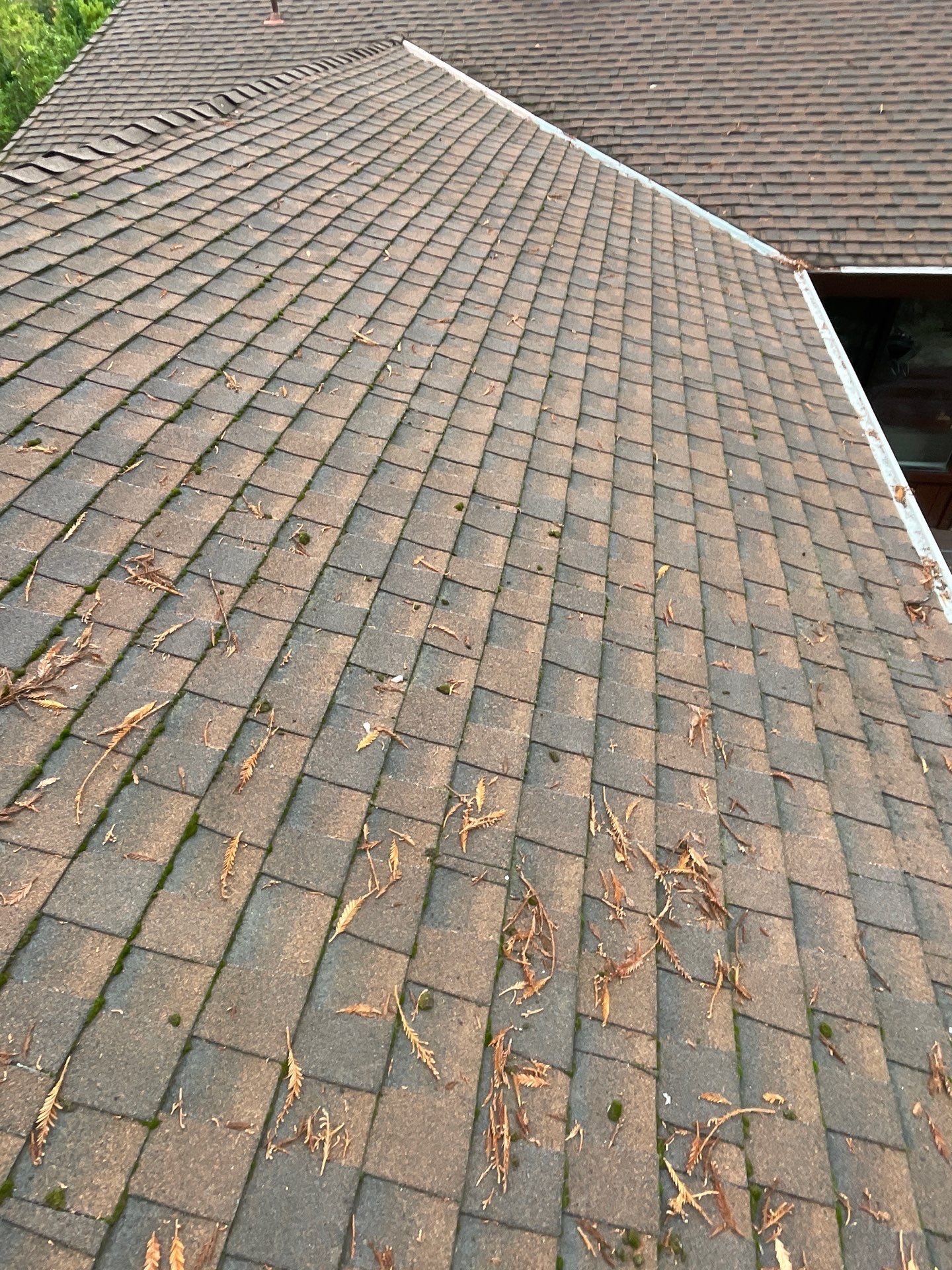 Roof Rejuvenation using Roof Maxx Treatment by Roof Maxx of Folsom