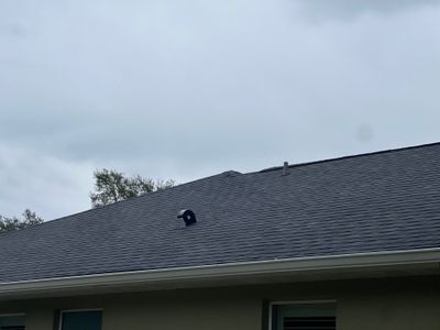 Shingle Reroof Replacement Osteen FL