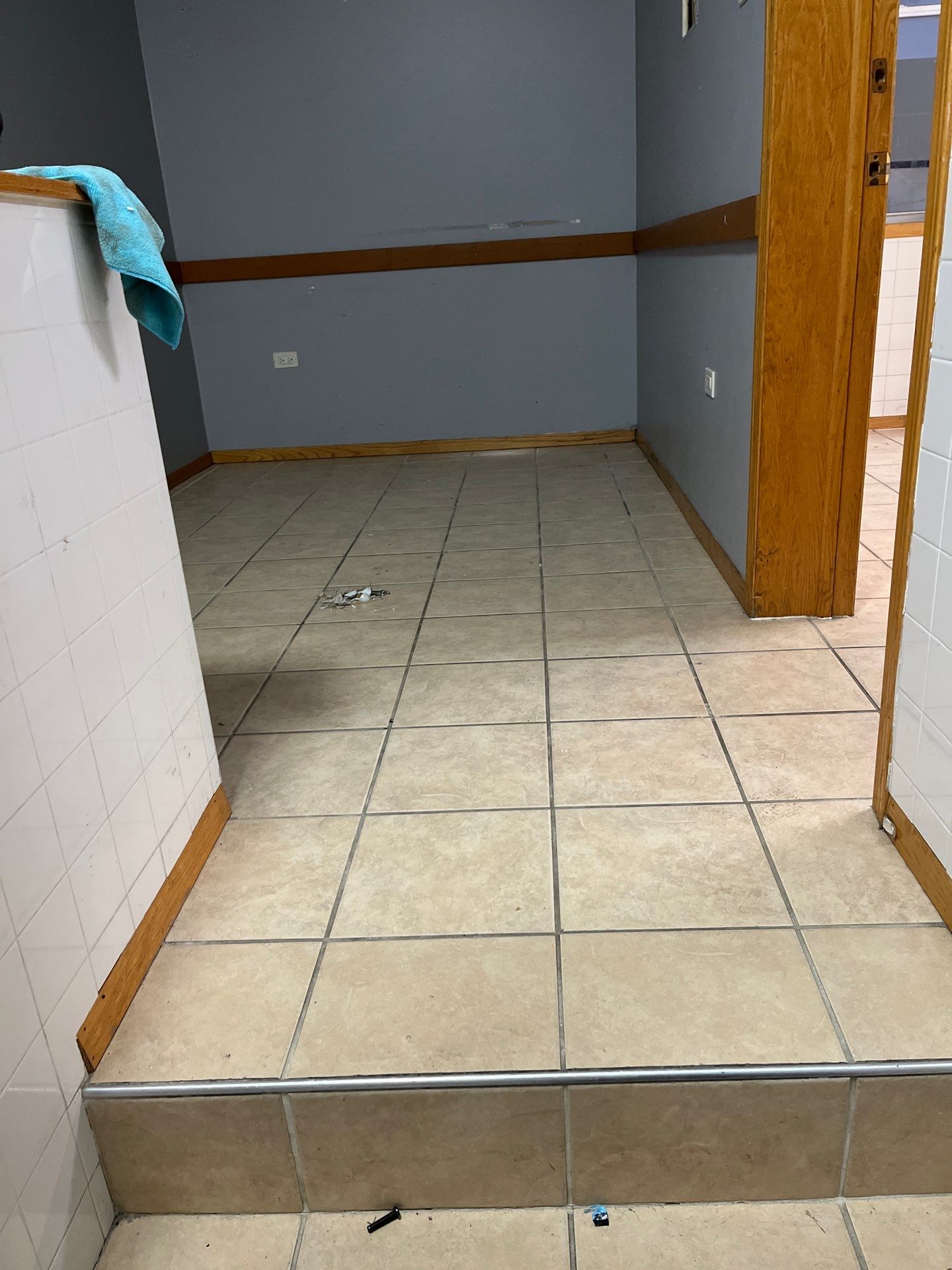 Project in Chicago by Xo Clean Services 