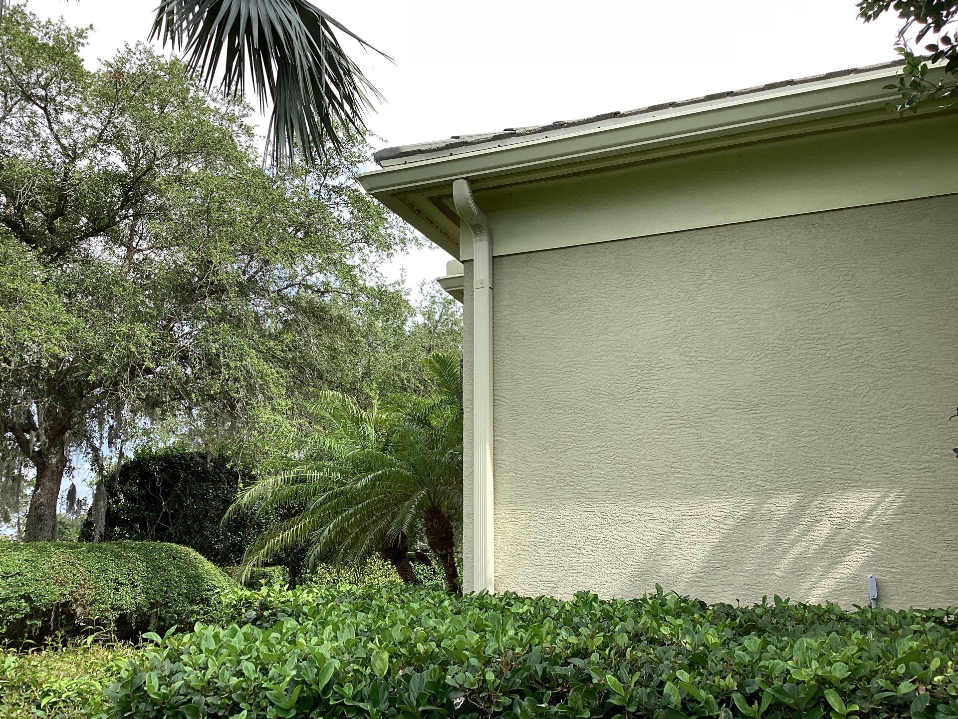 Gutter Project 7 inch seamless gutters using Cameo Gutters in Sarasota FL by Gutter Professors