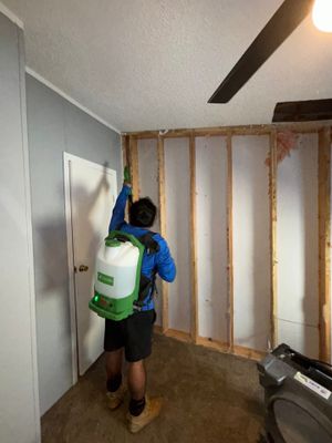 Home Mold Removal