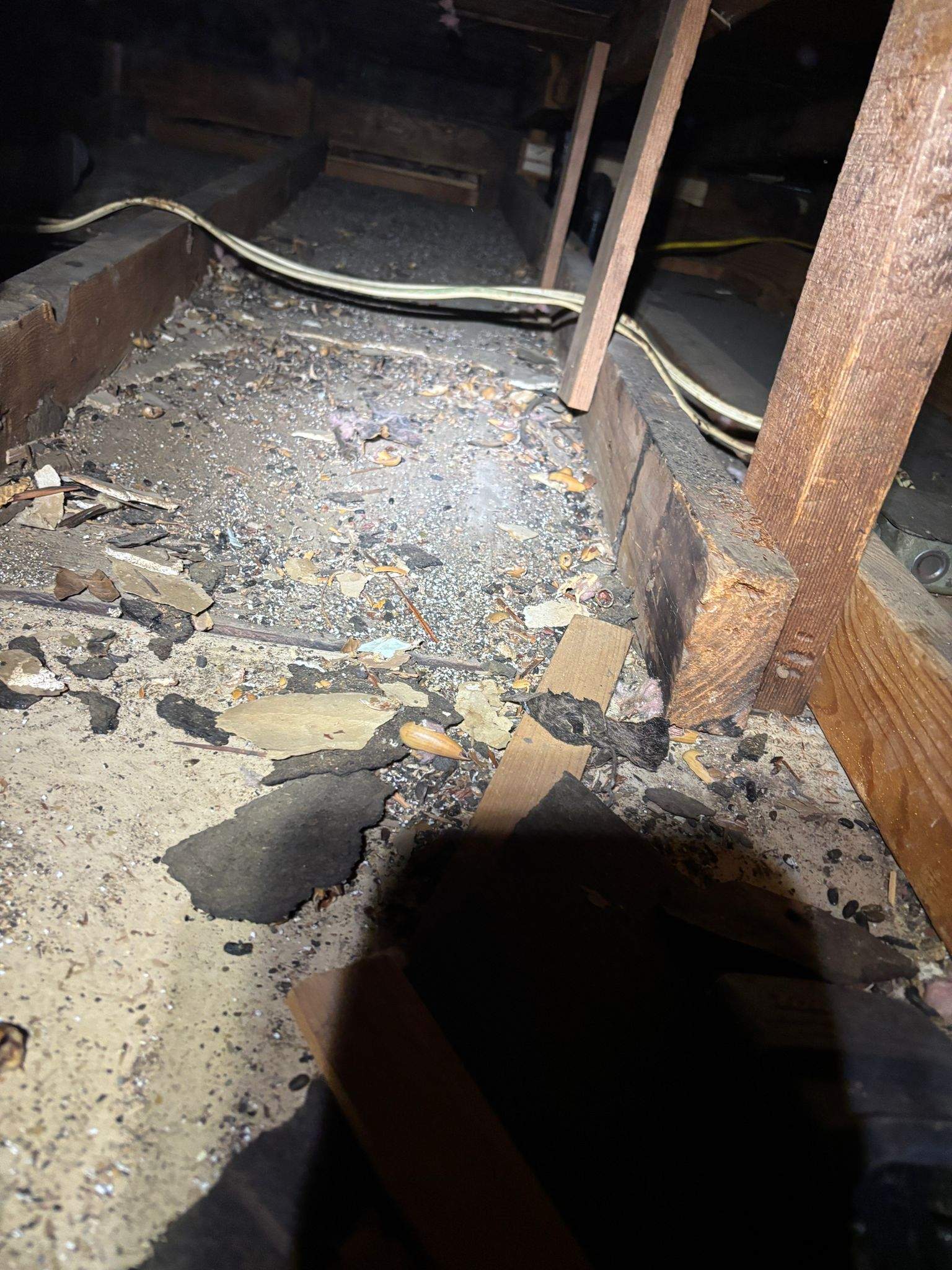 Project in Los Angeles by Insulation Labs