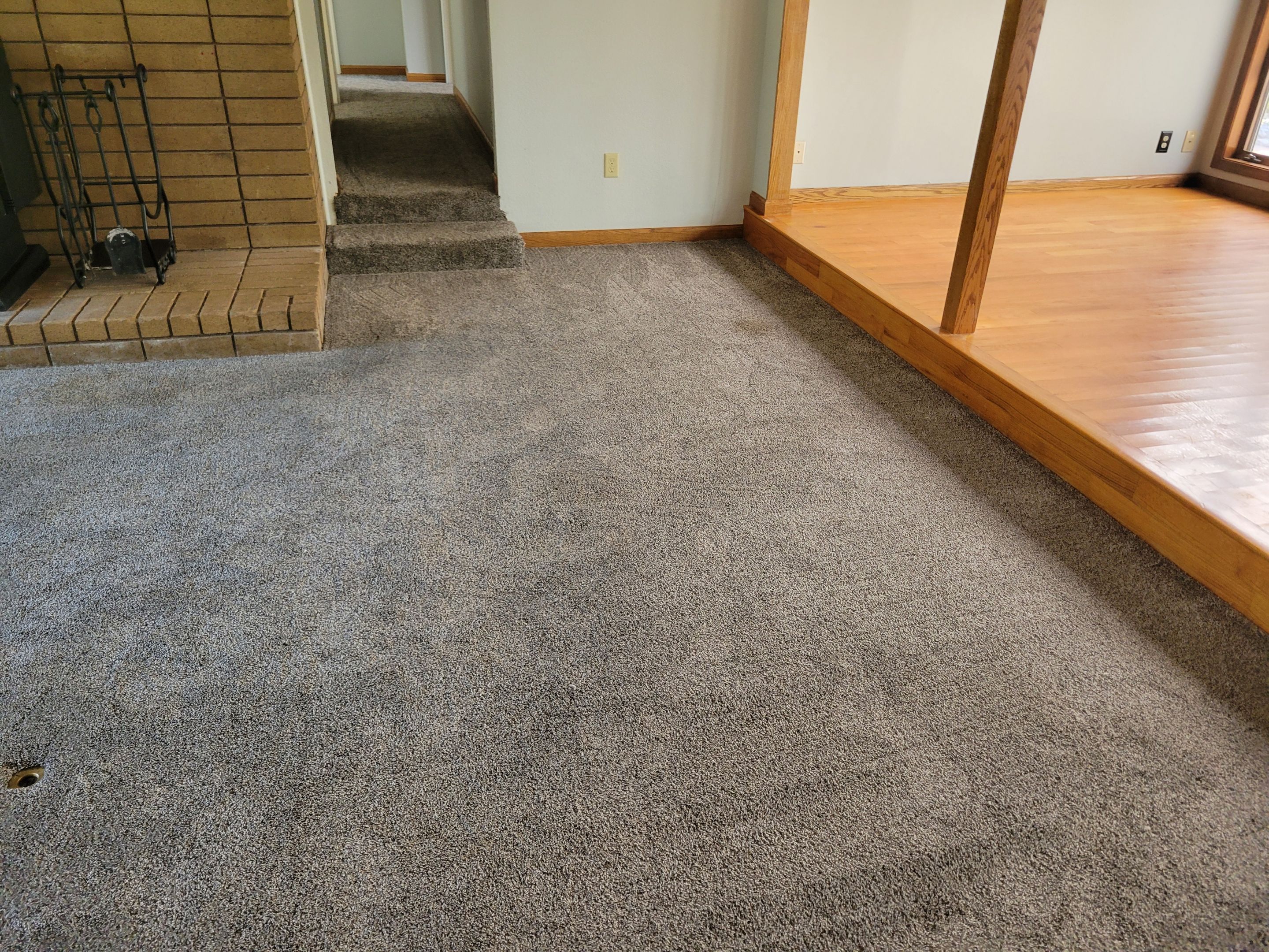 Carpet Cleaning for House Listing by Ardent Carpet Restore LLC