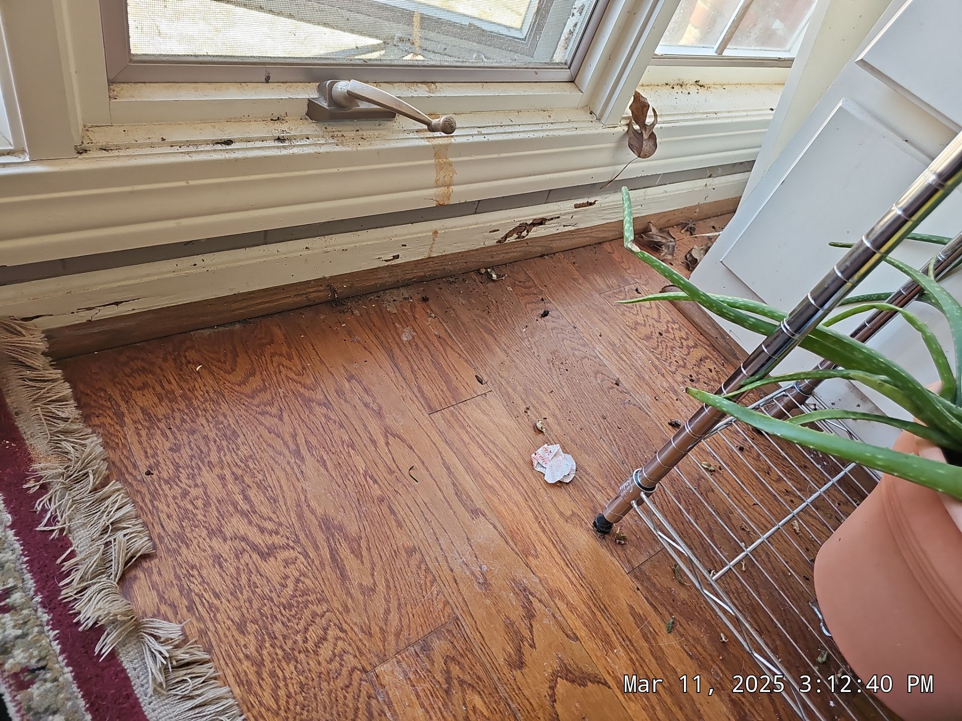 Jones Project in Birmingham by The Window Source