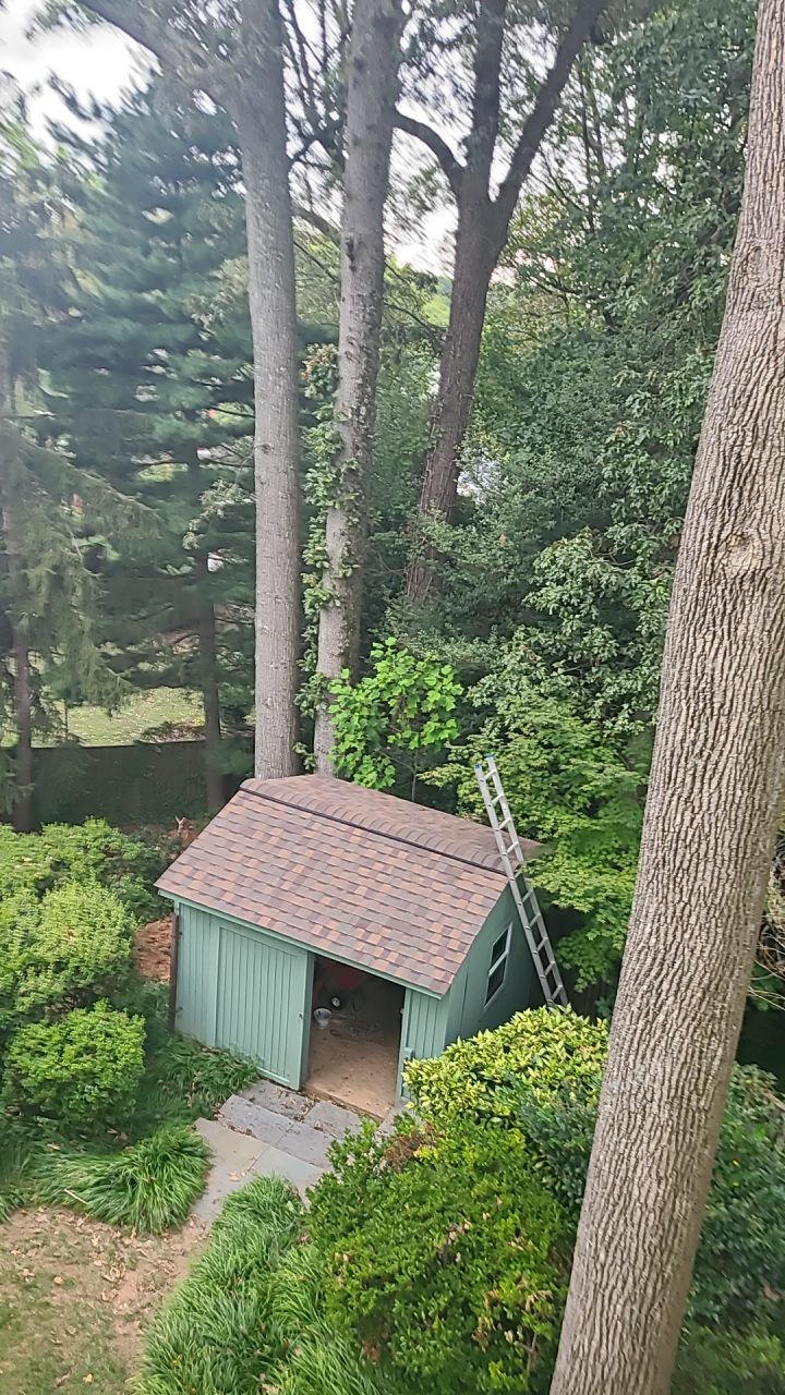 Arlington: CertainTeed Landmark Pro Designer Shingles in Max Def Heather Blend by RM Banning, Inc.